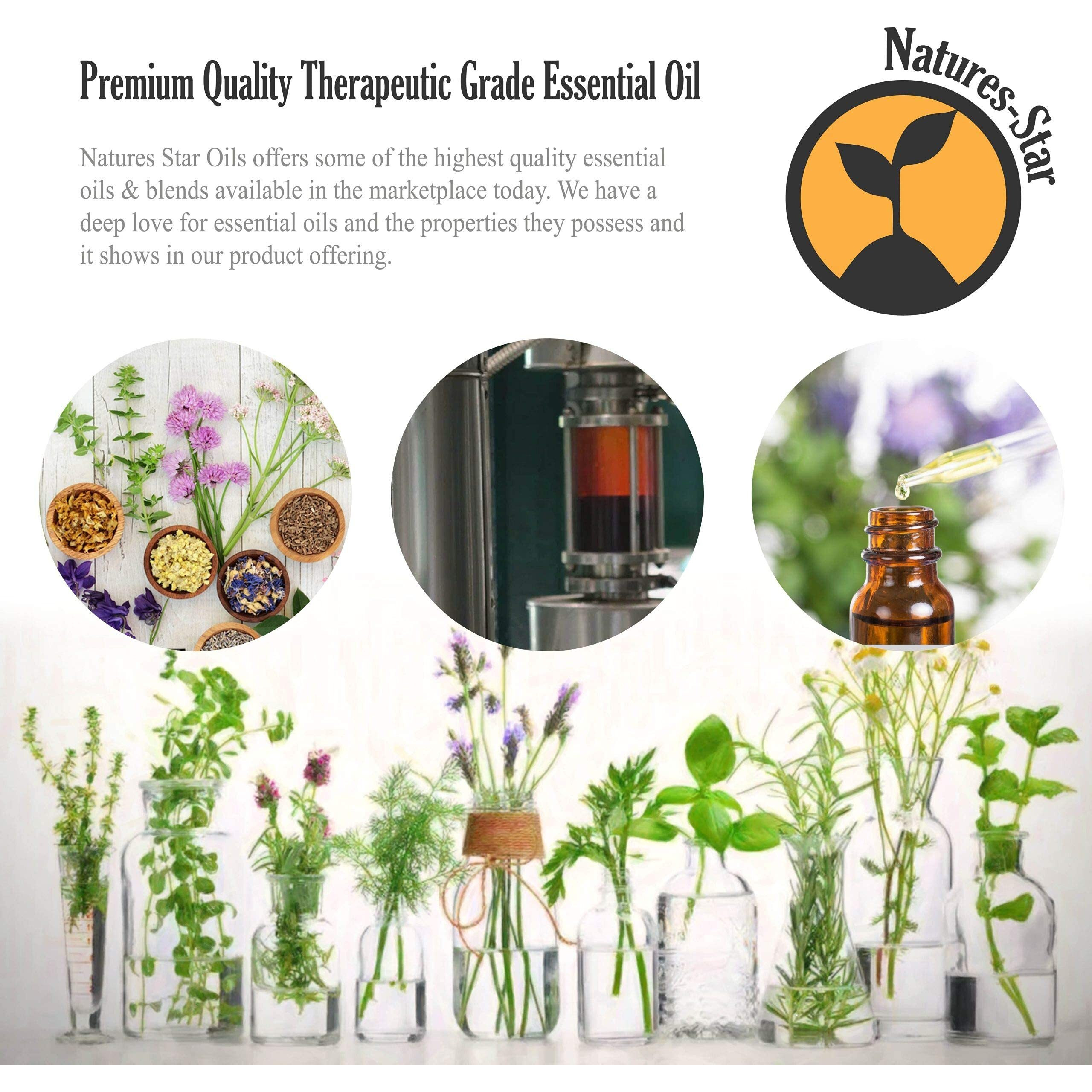 Natures-Star 16Oz - Bulk Size Peppermint Essential Oil (16 Ounce Total) - Therapeutic Grade Essential Oil - Therapeutic Grade Peppermint Oil For Diffuser - Mint Essential Oil For Candle Making