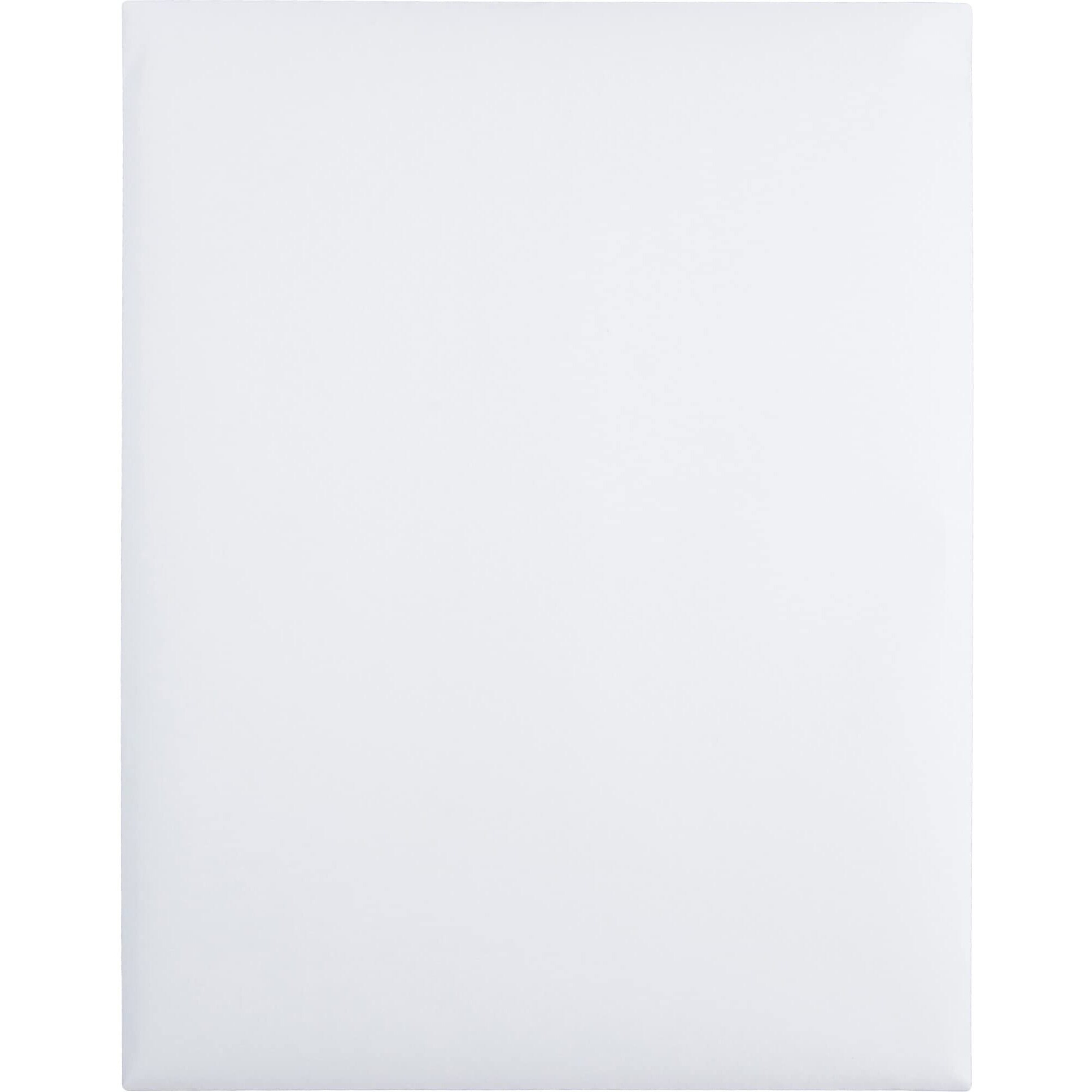 Quality Park 10 X 13 Catalog Envelopes, Redi-Seal Self-Sealing Closure, For Mailing, Storing, Organizing, 28 Lb White Wove, 100 Per Box (Qua43717)
