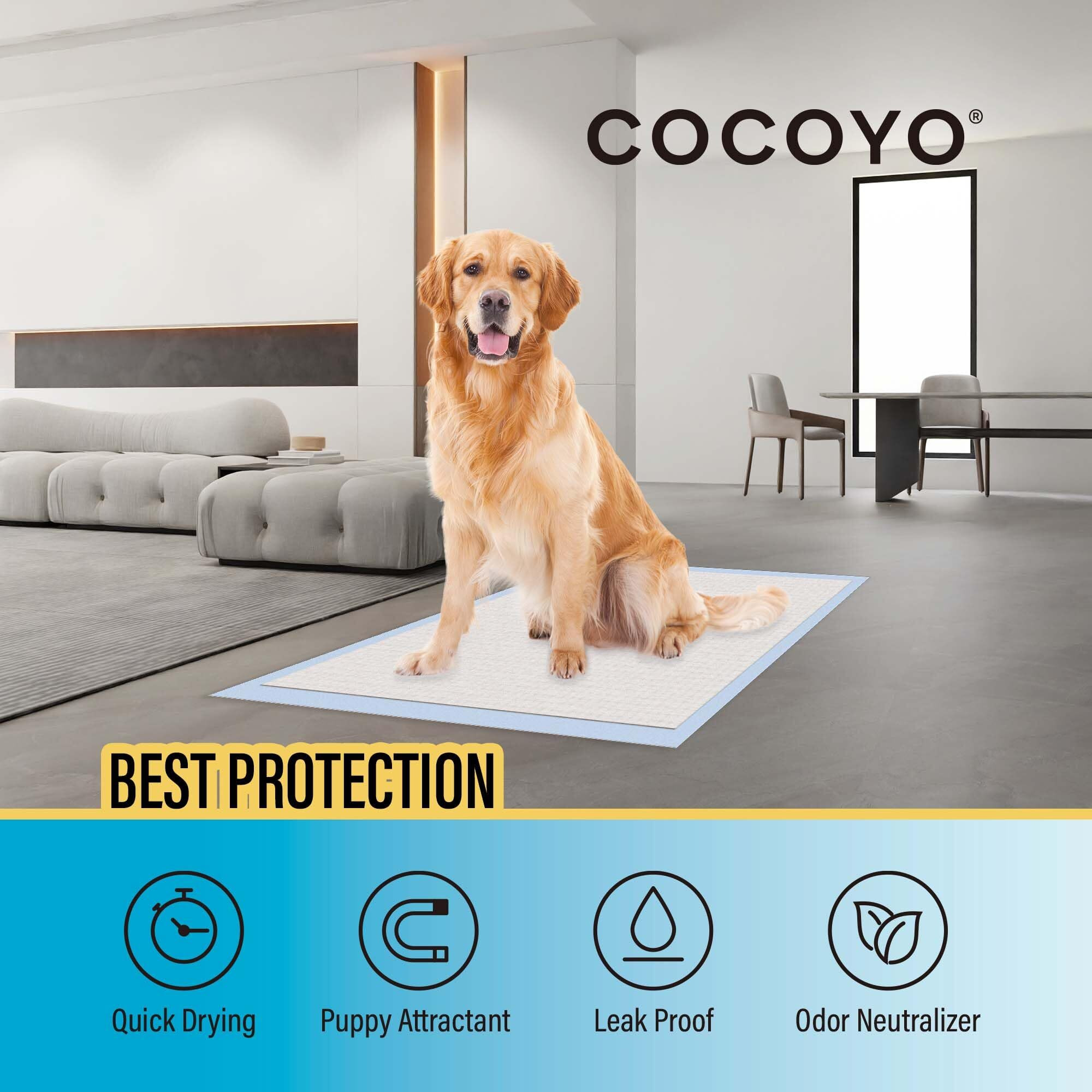 Cocoyo Best Value Training Pads, 28"" By 34"" Xl, 40 Count,Blue And White, Packaging May Vary