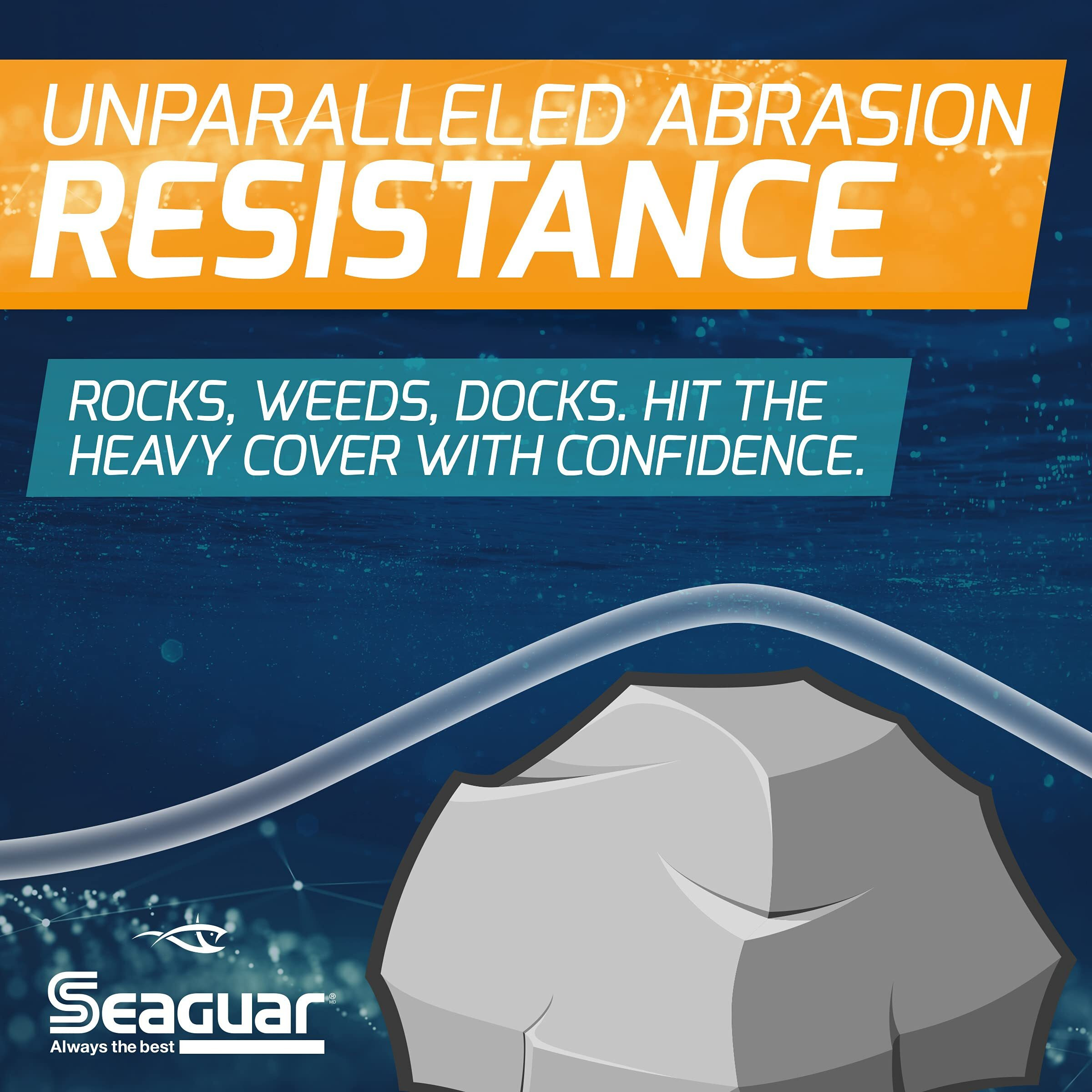 Seaguar Abrazx 100% Fluorocarbon Fishing Line 12Lbs, 200Yds Break Strength/Length - 12Ax200