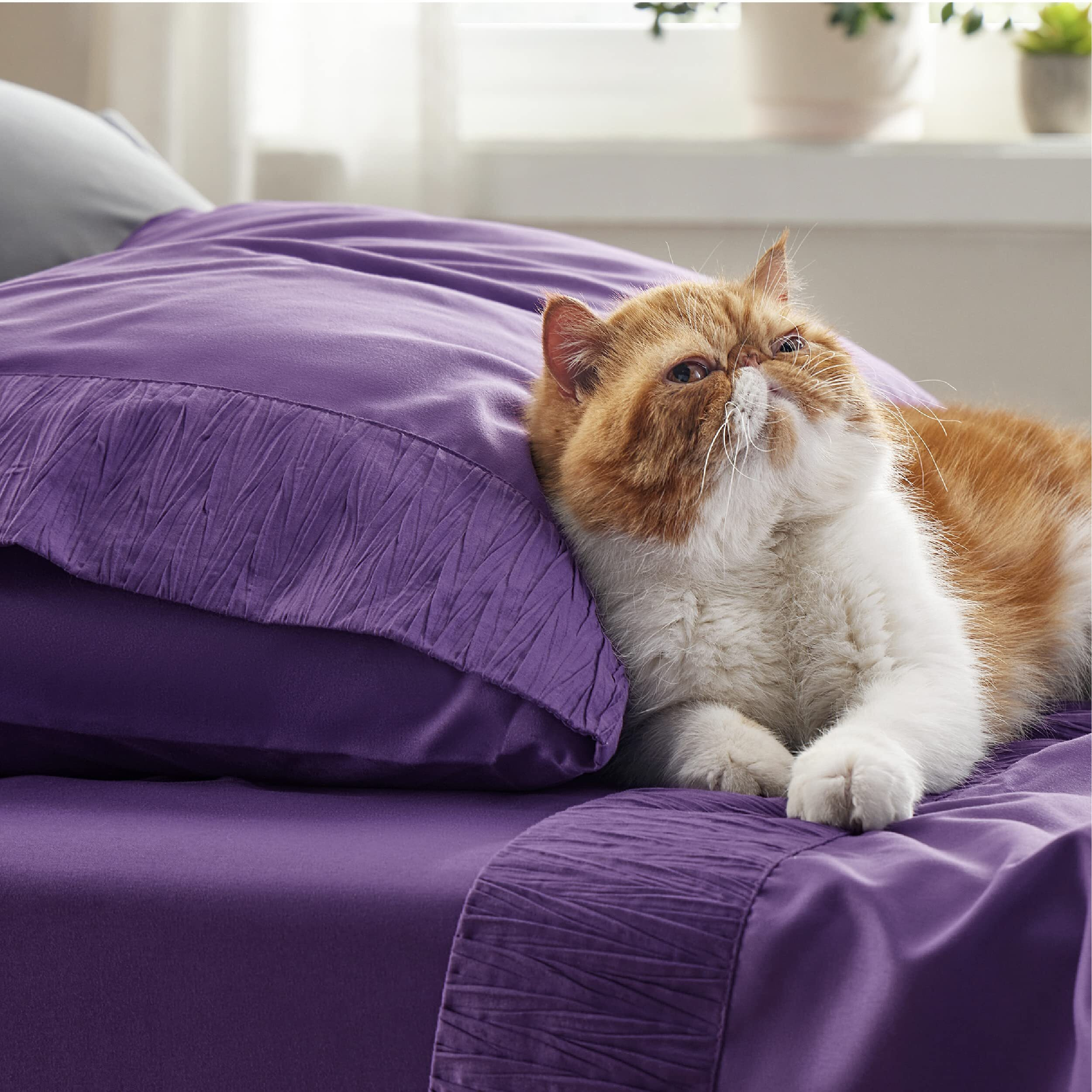 Bedsure Twin Xl Sheet Sets Dorm Bedding - Soft Extra Long Twin Bed Sheets, 3 Pieces Hotel Luxury Purple Sheets Twin Xl, Easy Care Microfiber Sheet Set