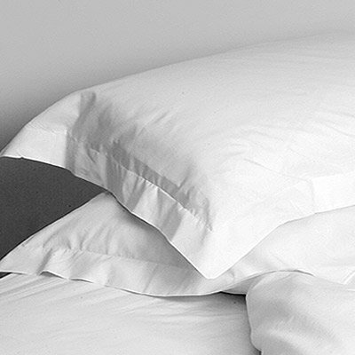 Sleep Safe Sheeting Egyptian Cotton Pillowcases / 600 Thread Count, 100% Luxurious Nile River Cotton/King (2 Pack) Pillow Cases