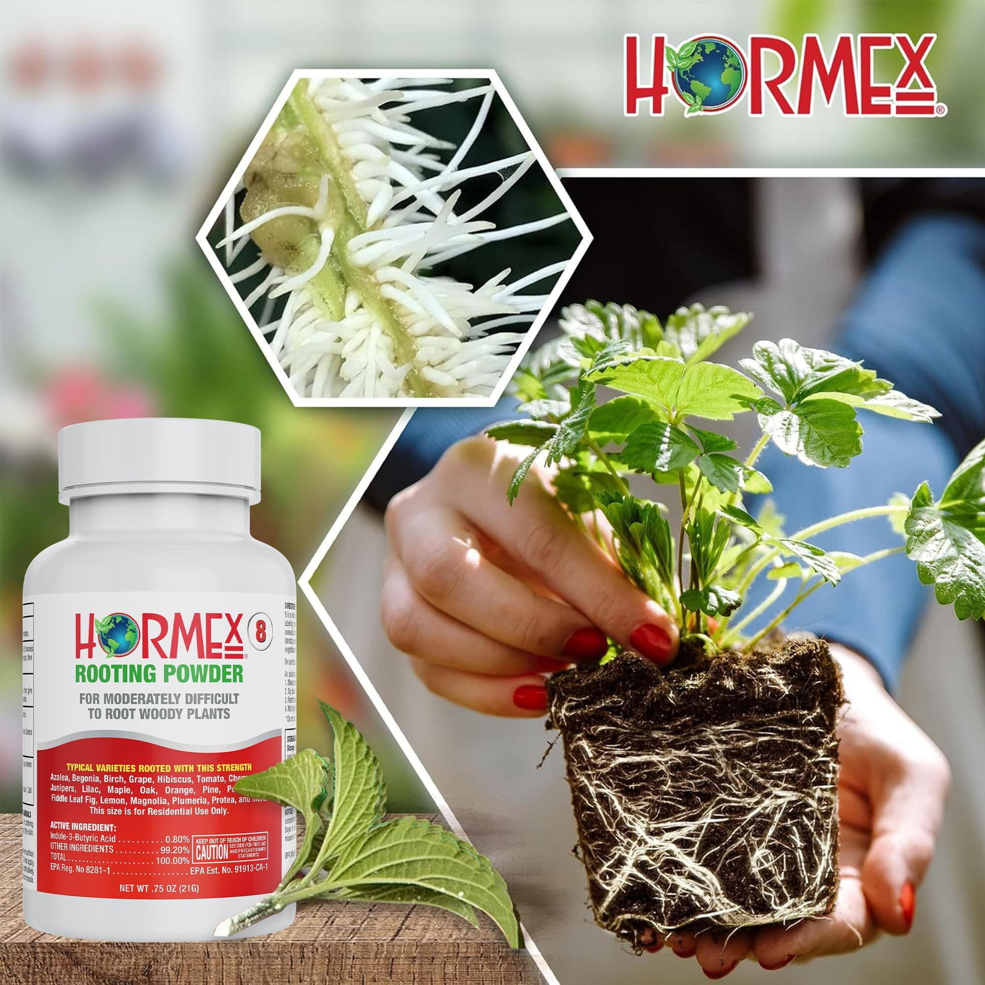 Hormex Rooting Powder 8 - For Moderately Difficult To Root Plants - 0.8 Iba Rooting Hormone For Plant Cuttings - Fast & Effective - Free Of Alcohol, Dye, Gel & Preservatives For Healthier Roots, 21G