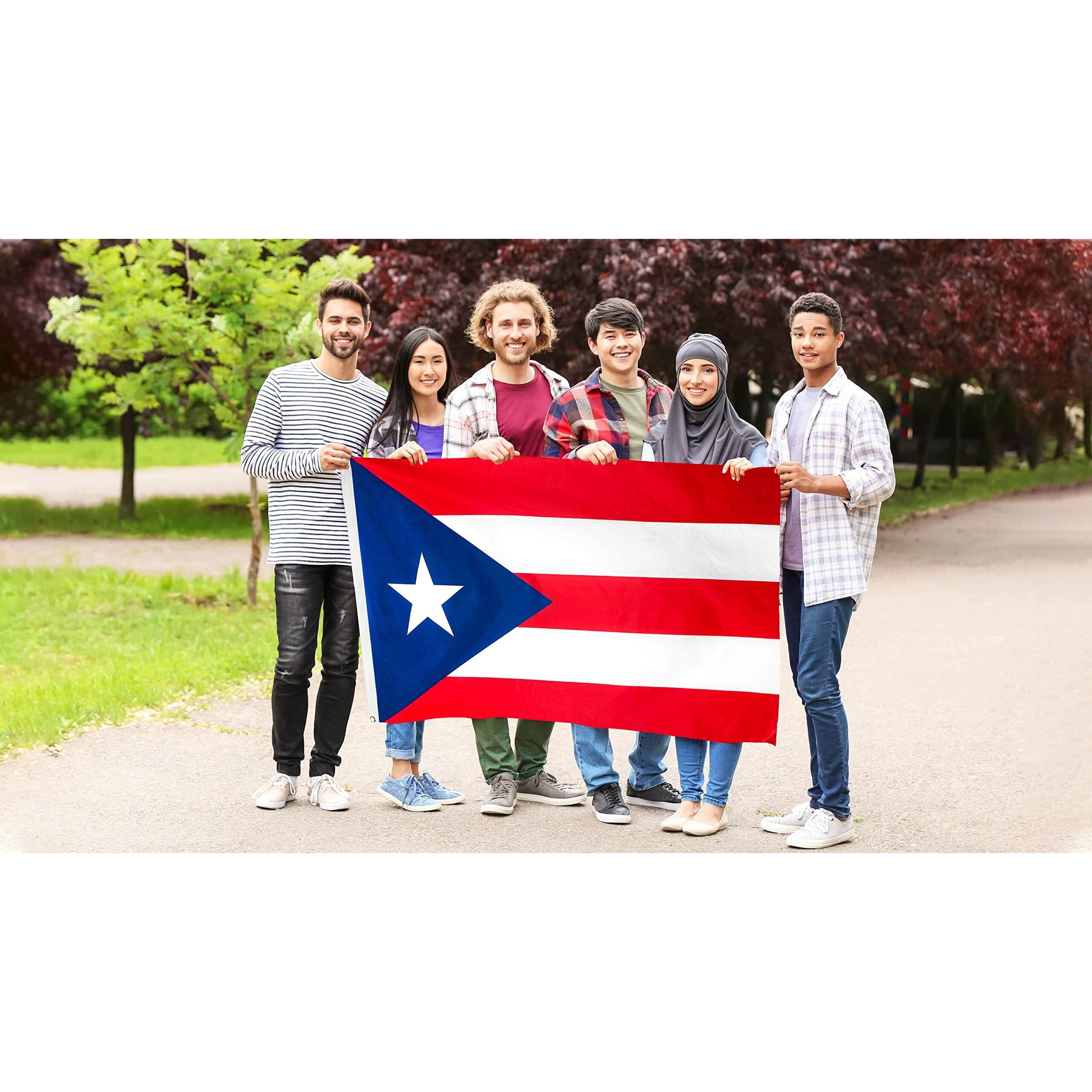 Danf Puerto Rico Flag 3X5 Foot Polyester Puerto Rican National Flags Polyester With Brass Grommets 3 X 5 Ft