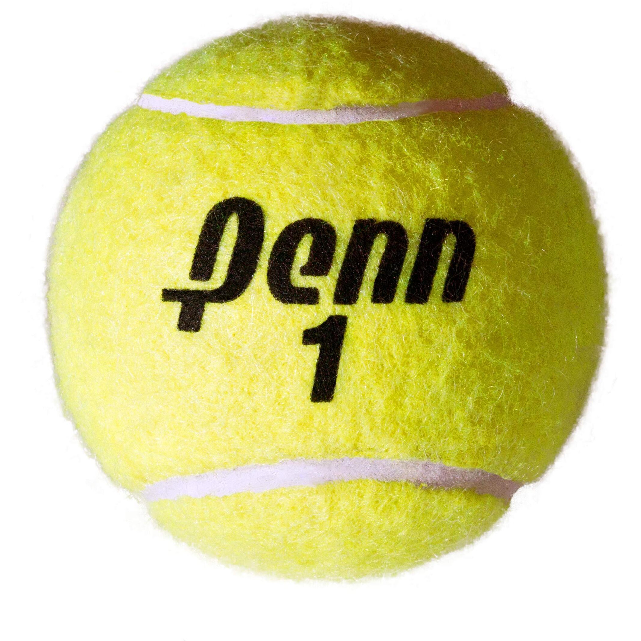 Penn Championship - Extra Duty Felt Pressurized Tennis Balls - 15 Cans, 45 Balls