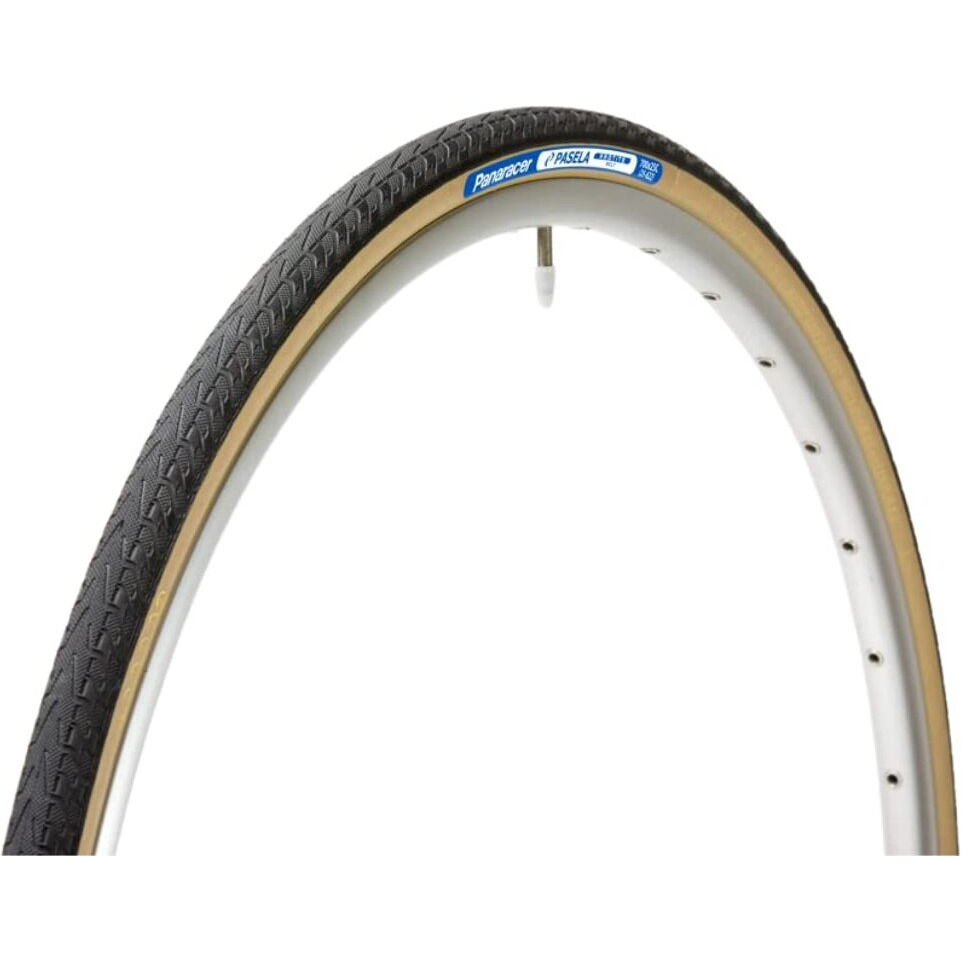 Panaracer Pasela Protite 27 X 1-1/4 Wire Bead Tire