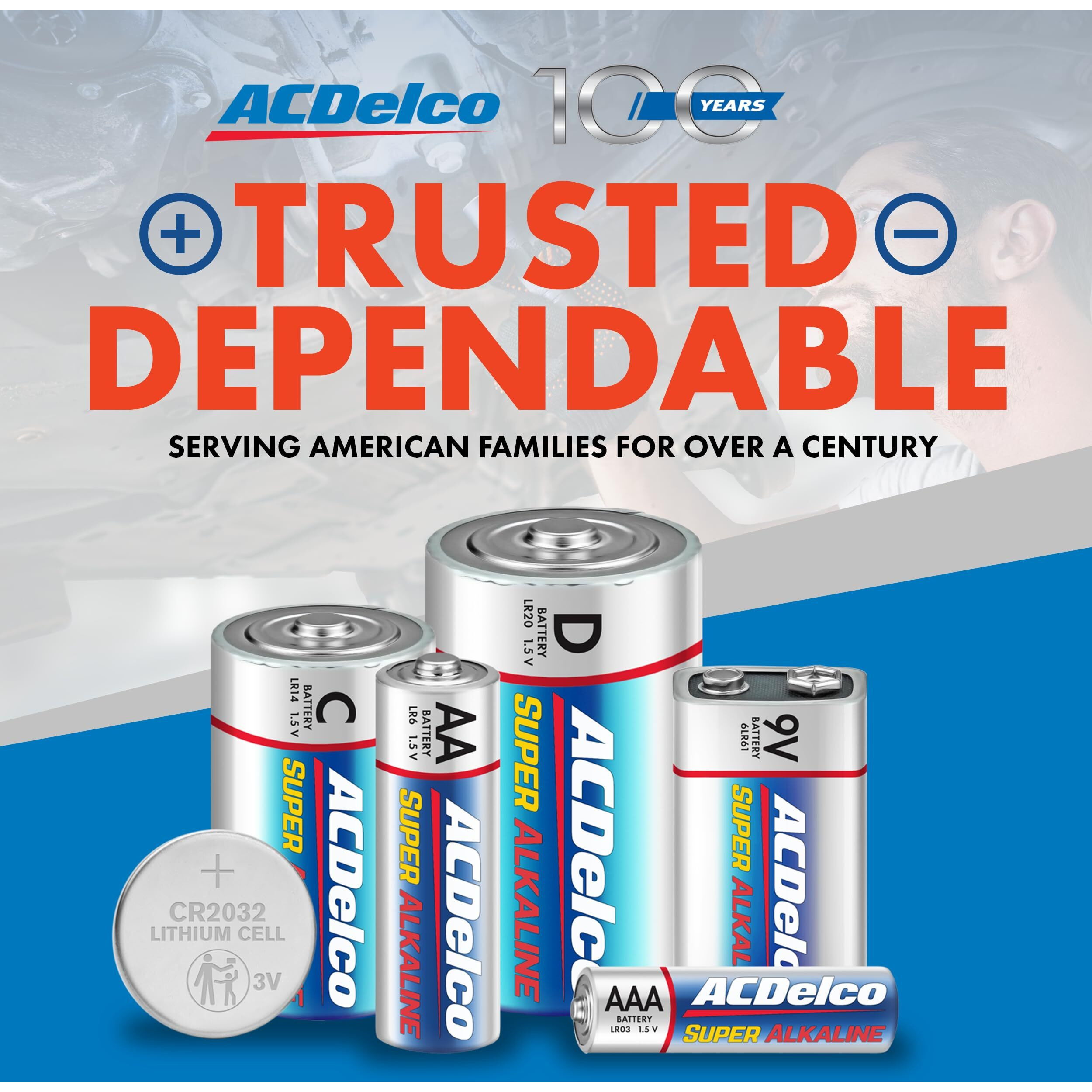 Acdelco 48-Count Aa Batteries, Maximum Power Super Alkaline Battery, 10-Year Shelf Life, Reclosable Packaging Blue