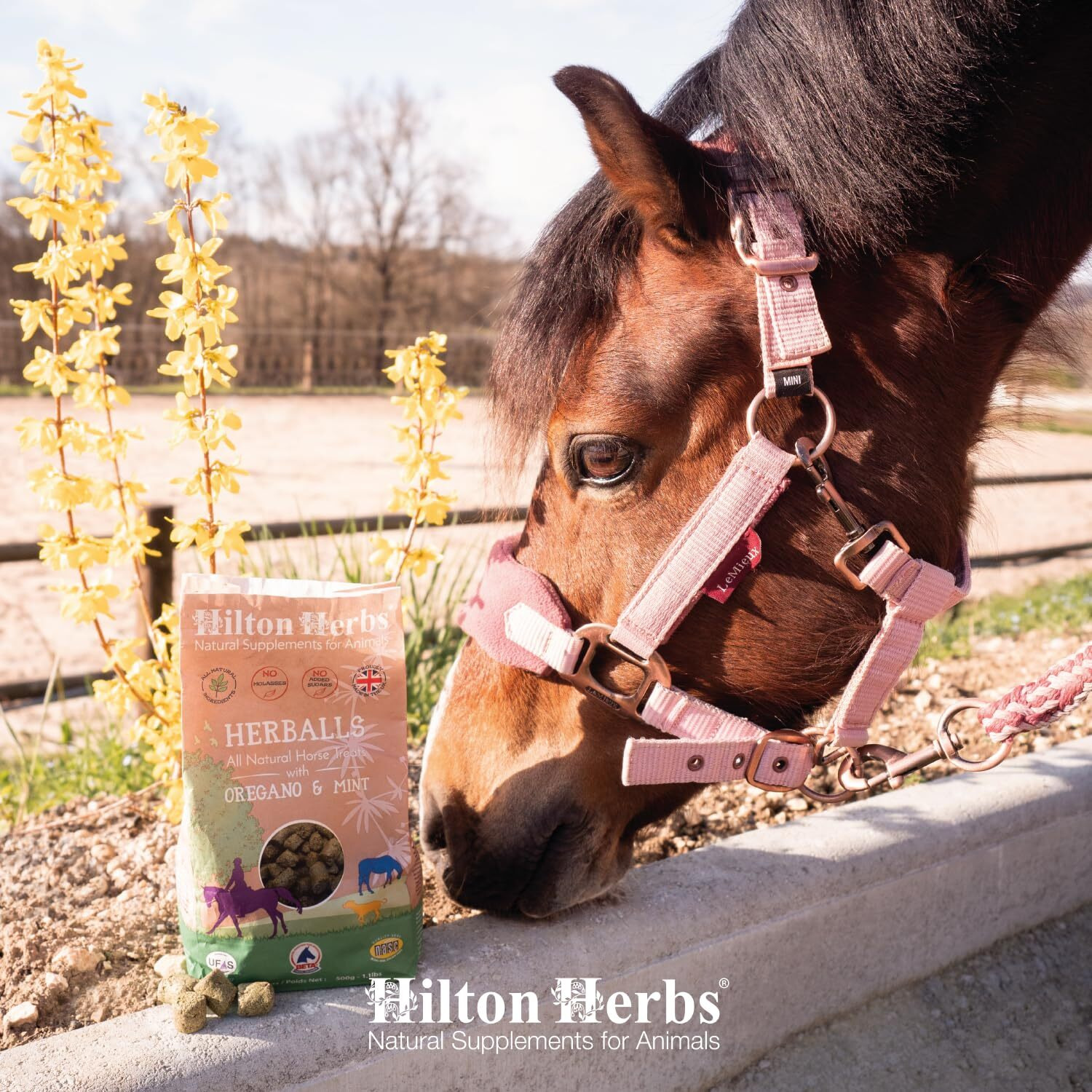 Hilton Herbs Herballs All Natural Horse Treat With Oregano And Mint 1.1 Lb