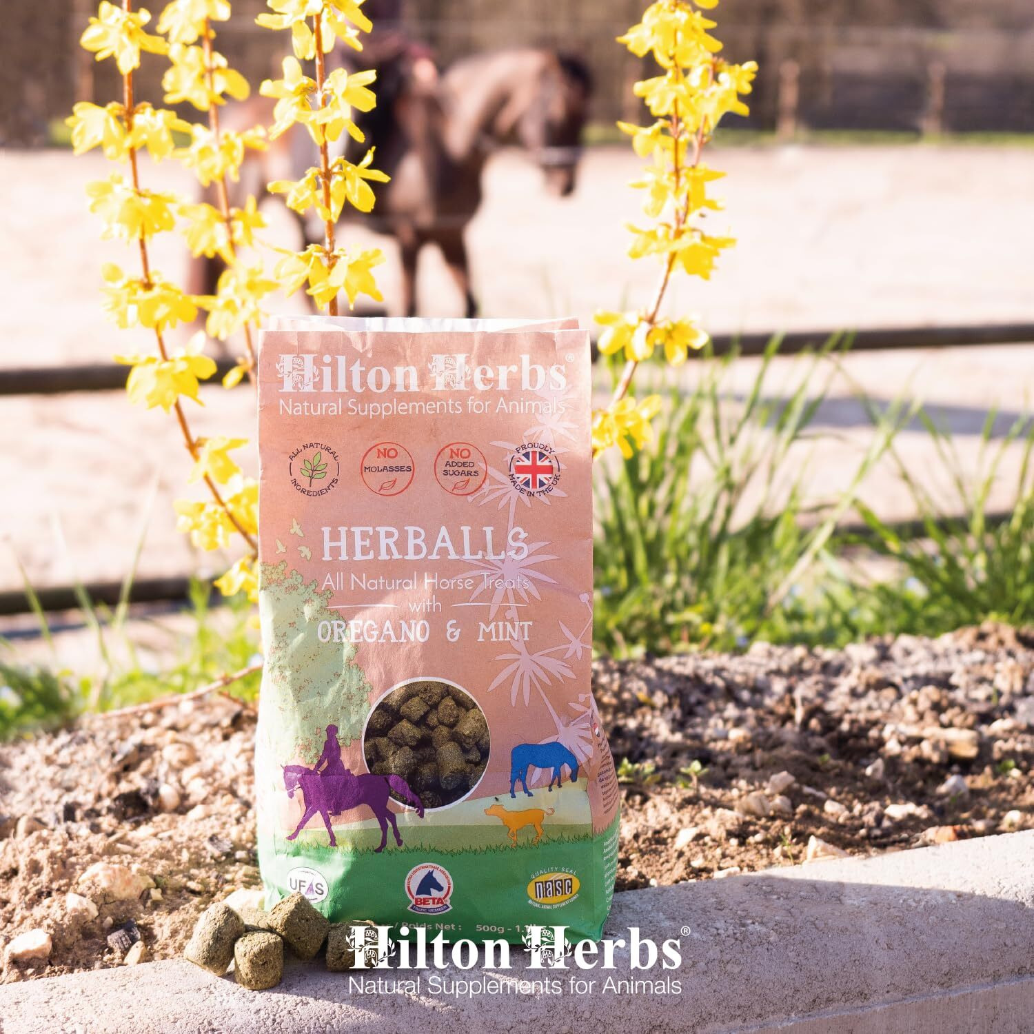 Hilton Herbs Herballs All Natural Horse Treat With Oregano And Mint 1.1 Lb
