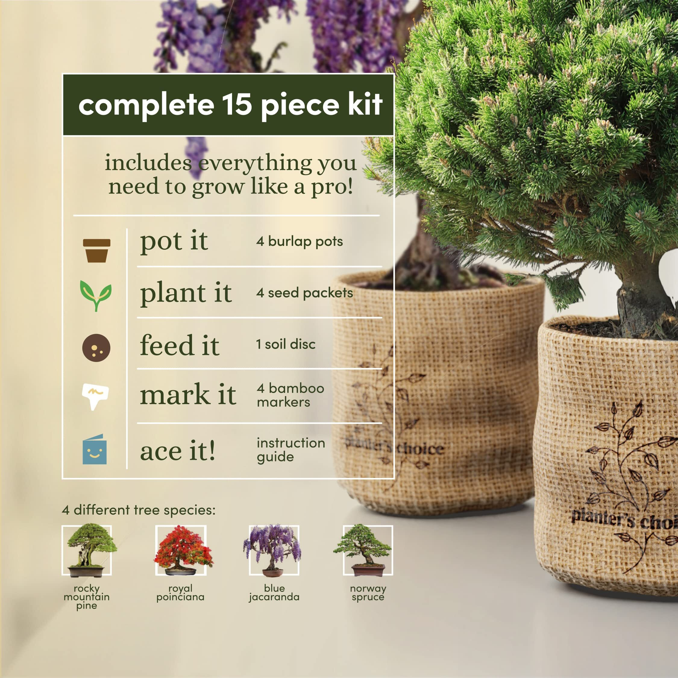 Bonsai Starter Kit - Gardening Gift For Women & Men - Bonsai Tree Growing Garden Crafts Hobby Kits For Adults, Unique Diy Hobbies For Plant Lovers - Unusual Christmas Gifts Ideas - Or Gardener Mother