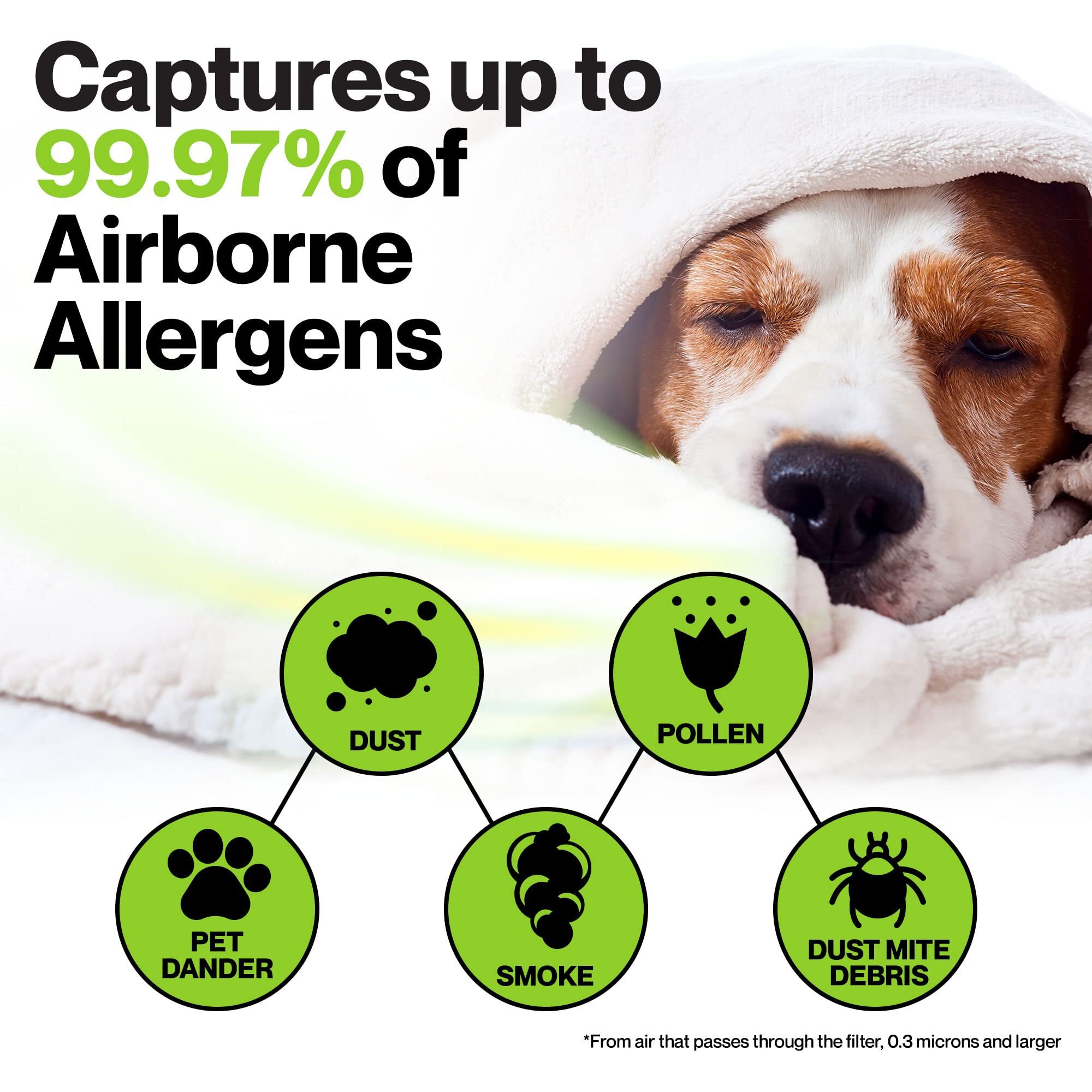 Durabasics 3 Hepa Filter Set For Hpa300 Honeywell Air Purifier Filters & Honeywell Hpa300 - For Honeywell Air Purifier Filter Replacement Hpa300 - Replacements For Honeywell Filter R & Hpa300 Filter