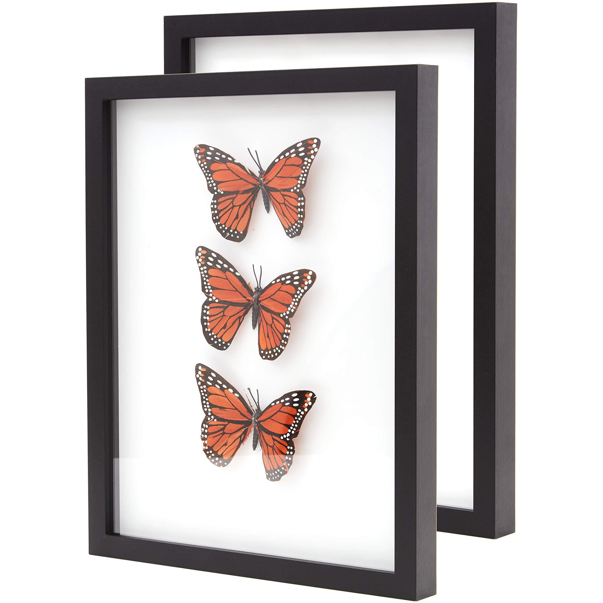 Super-Sturdy 11X14 Black Shadow Box Frame With Glass 2 Pk. Fill Large Wood Memory Box With Wedding Flowers, Jerseys, Cute Pet Photos, Ticket Stubs, Or Medals. Great Seashell Display Case