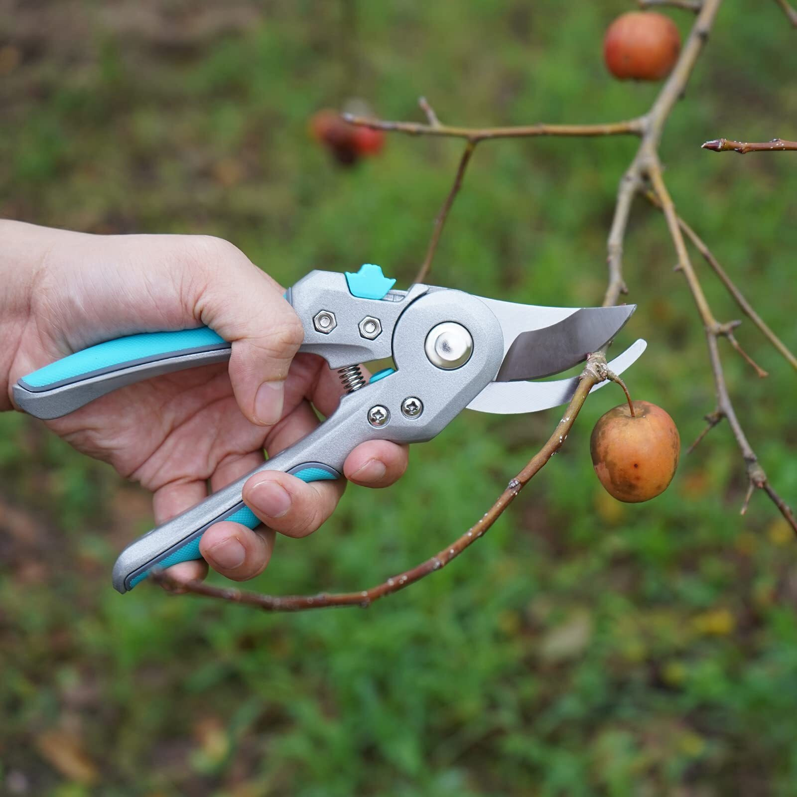 Goodsmann Garden Pruners Pruning Shears For Gardening Cutter With Stainless Steel Blades, Tree Trimmers Secateurs Professional Gardening Tools, Gardening Shears Clippers For Plants 9149-34101-01A