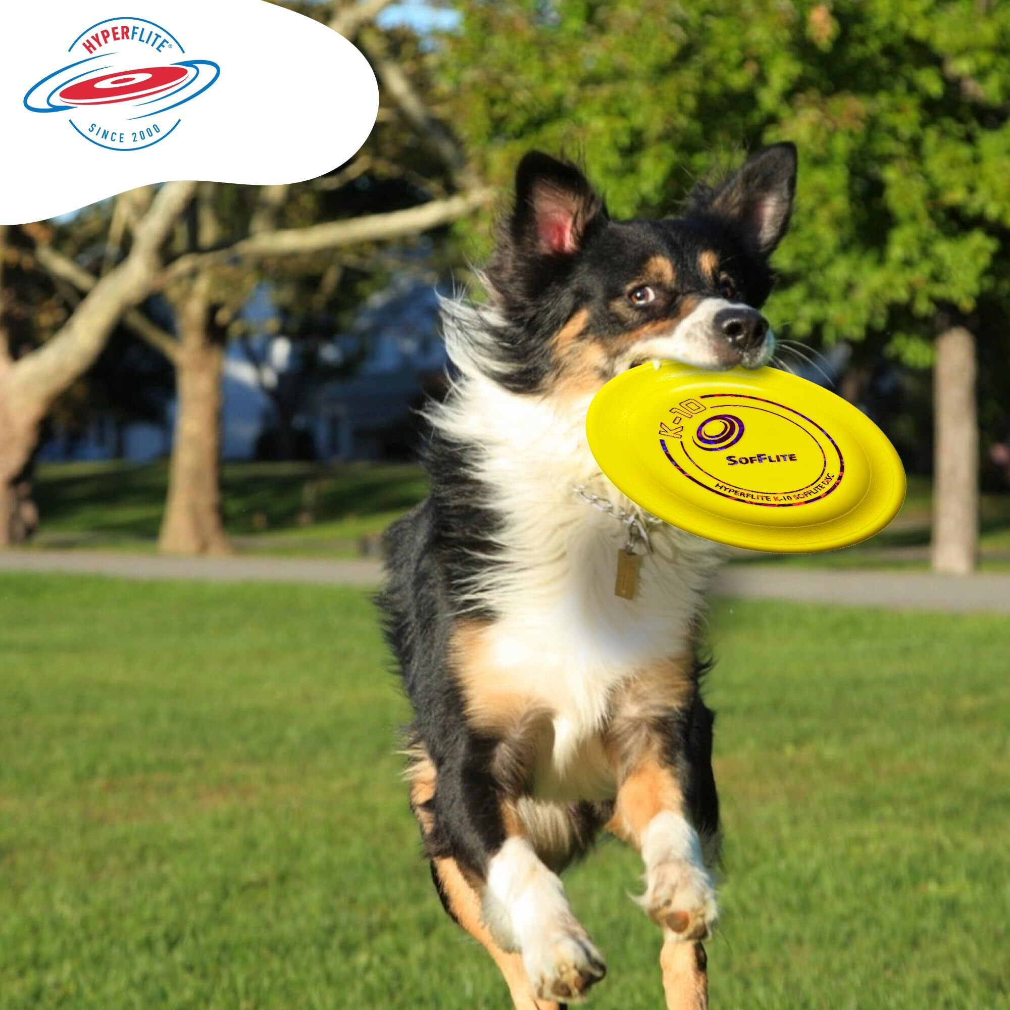 Hyperflite K-10 Sofflite Dog Disc 8.75 Inch  Ultra-Soft For Canines With Sensitive Mouths  Best Flying  Dog Frisbee  Competition Grade  Outdoor Flying Disc Training  Yellow