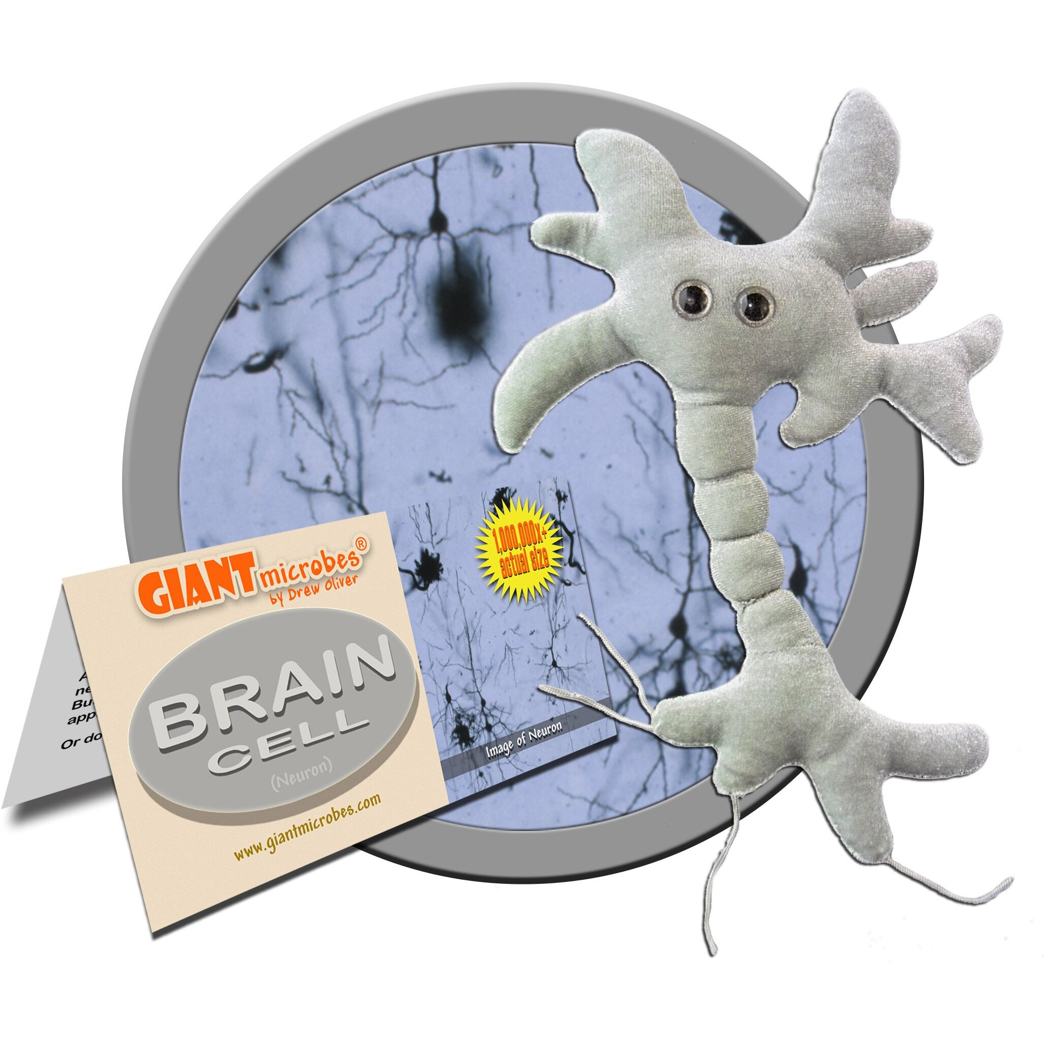 Giantmicrobes Brain Cell Plush, Neuron Plush, Neuroscience Gifts, Neurology Gifts, Science Plush, Neuron Model Anatomy, Psychology Gifts, Psychology Decor, Brain Themed Gifts, Mental Health Awareness