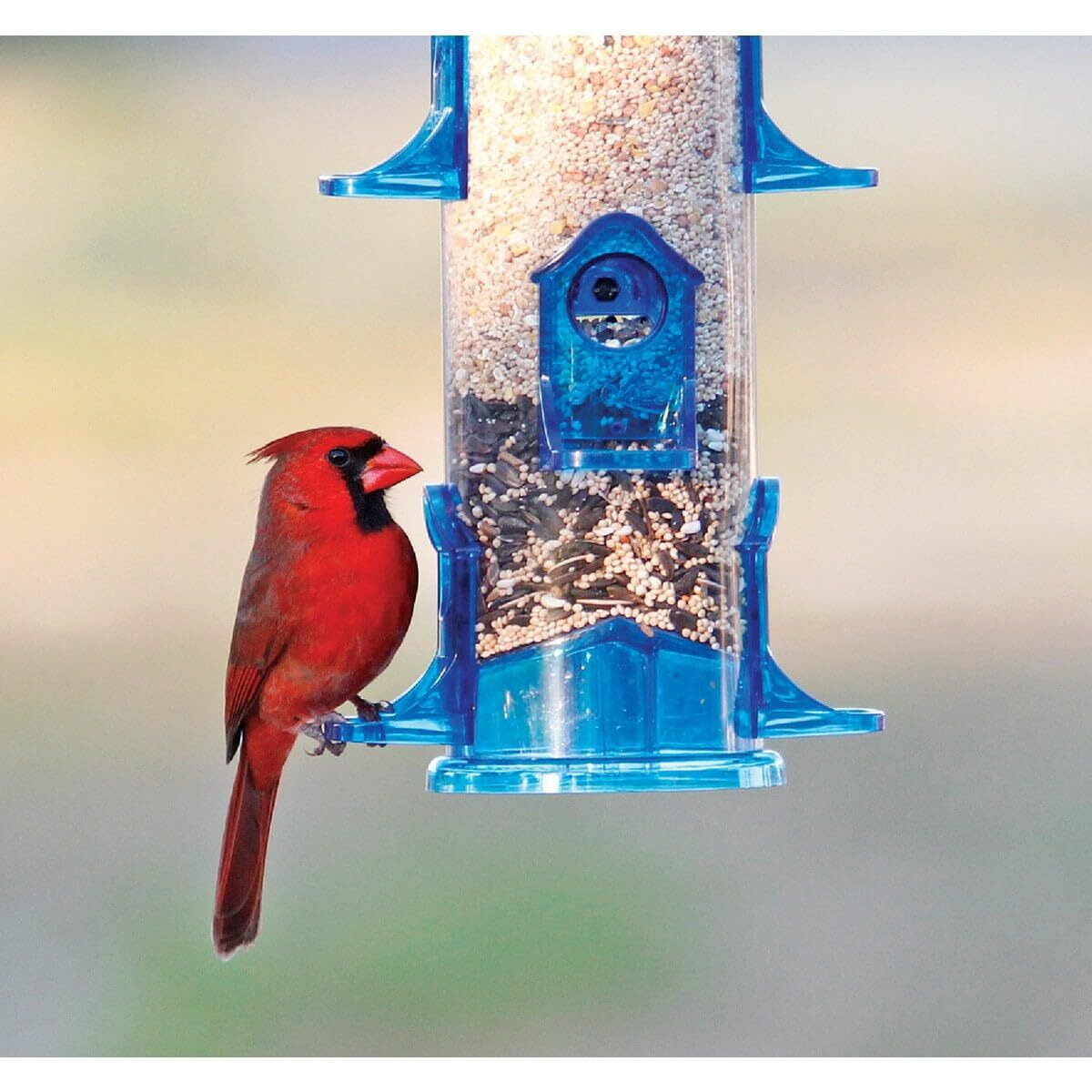 Stokes Select Jumbo Seed Tube Bird Feeder, Assorted,1 Count (Pack Of 1),38030
