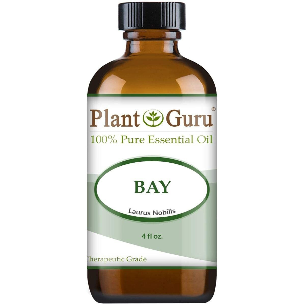 Bay Essential Oil 4 Oz Laurus Nobilis 100% Pure Undiluted Therapeutic Grade.