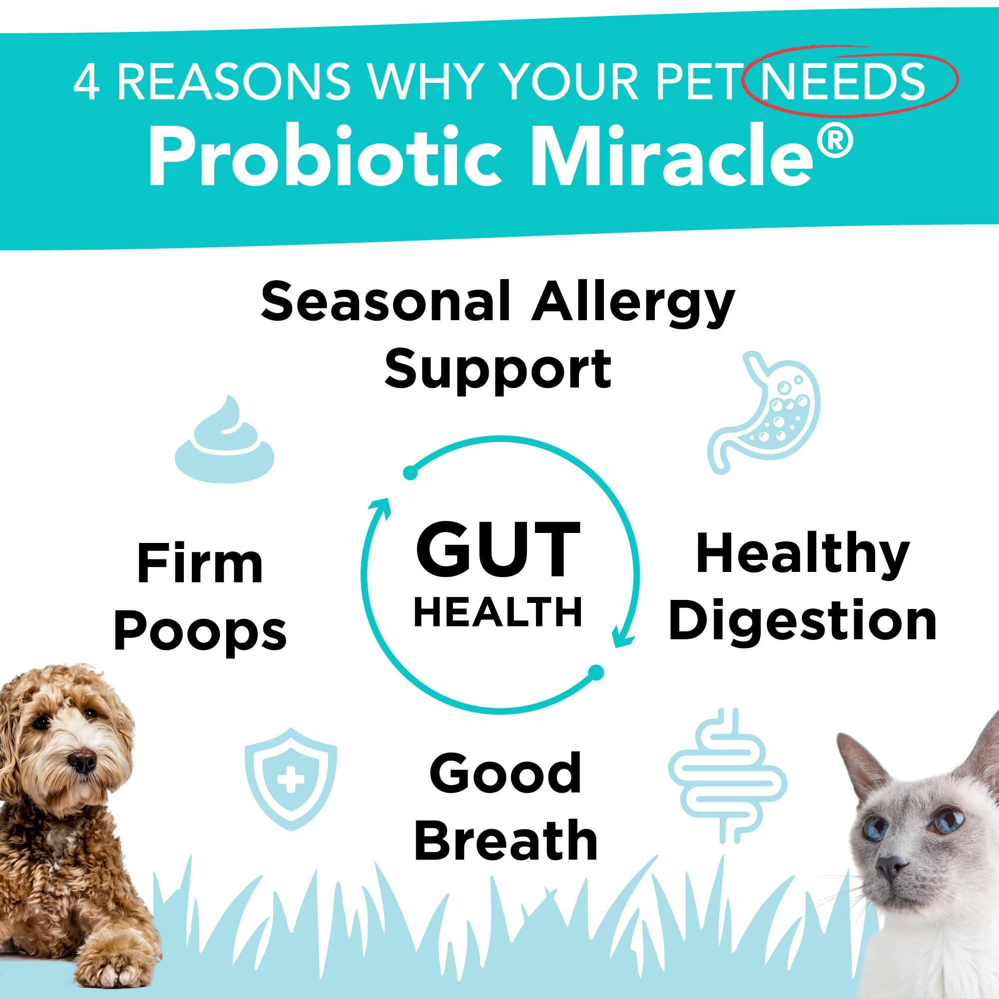 Nusentia Probiotics For Dogs -(360 Scoops)-Probiotic Miracle -Advanced, Species Specific Probiotics And Prebiotics To Stop Diarrhea, Loose Stool, And Yeast-Plus Immune Support