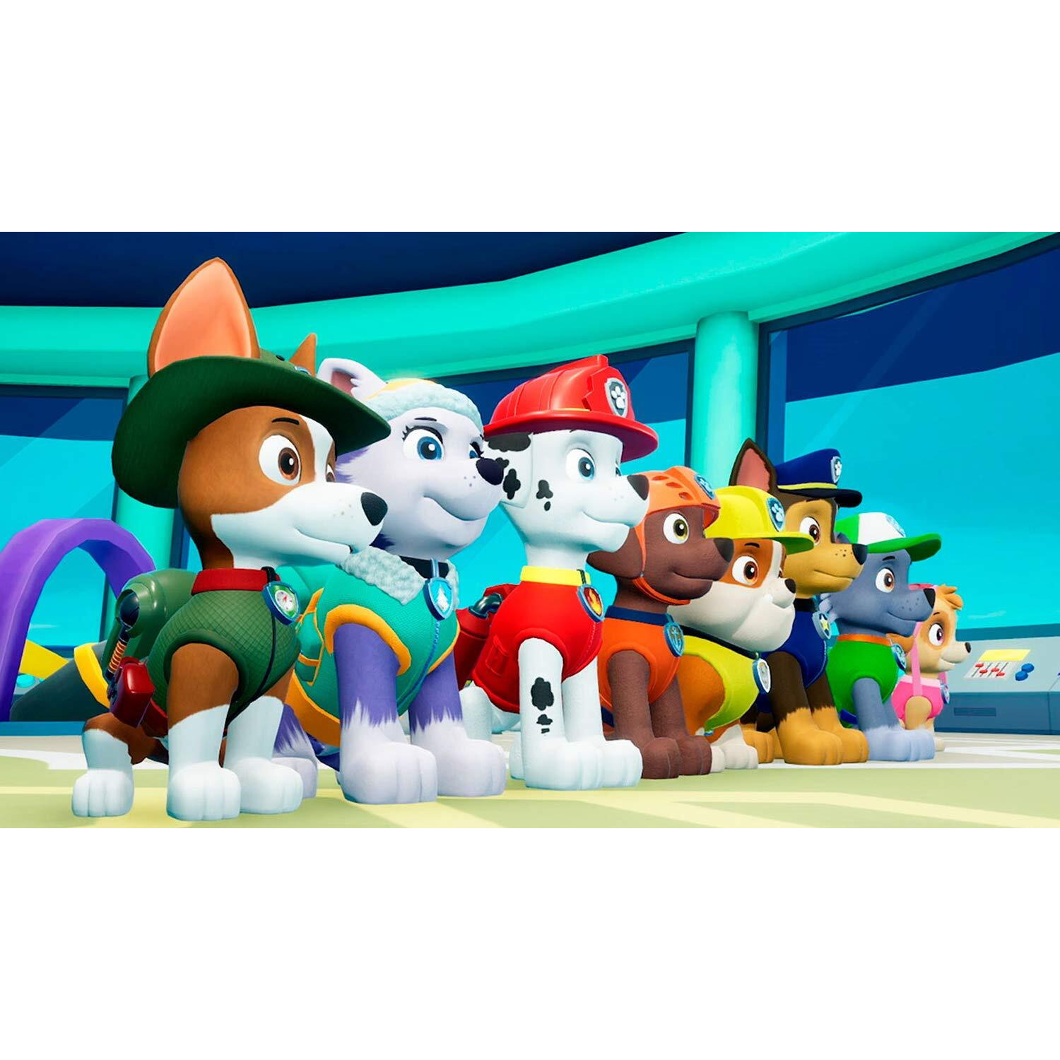Paw Patrol On A Roll For Nintendo Switch