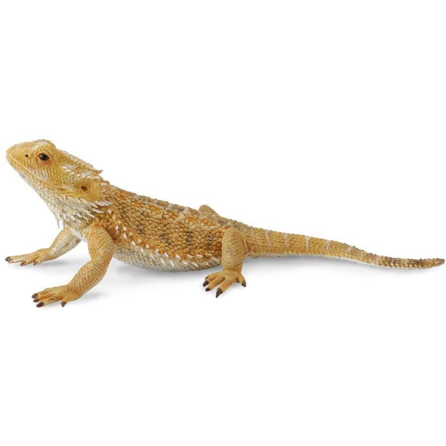 Collecta Bearded Dragon Lizard Toy Figure - Authentic Hand Painted Model , Tan , 1.6 Inch