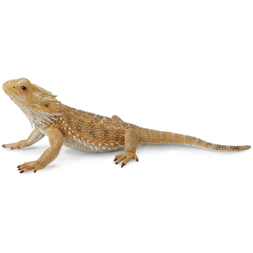 Collecta Bearded Dragon Lizard Toy Figure - Authentic Hand Painted Model , Tan , 1.6 Inch