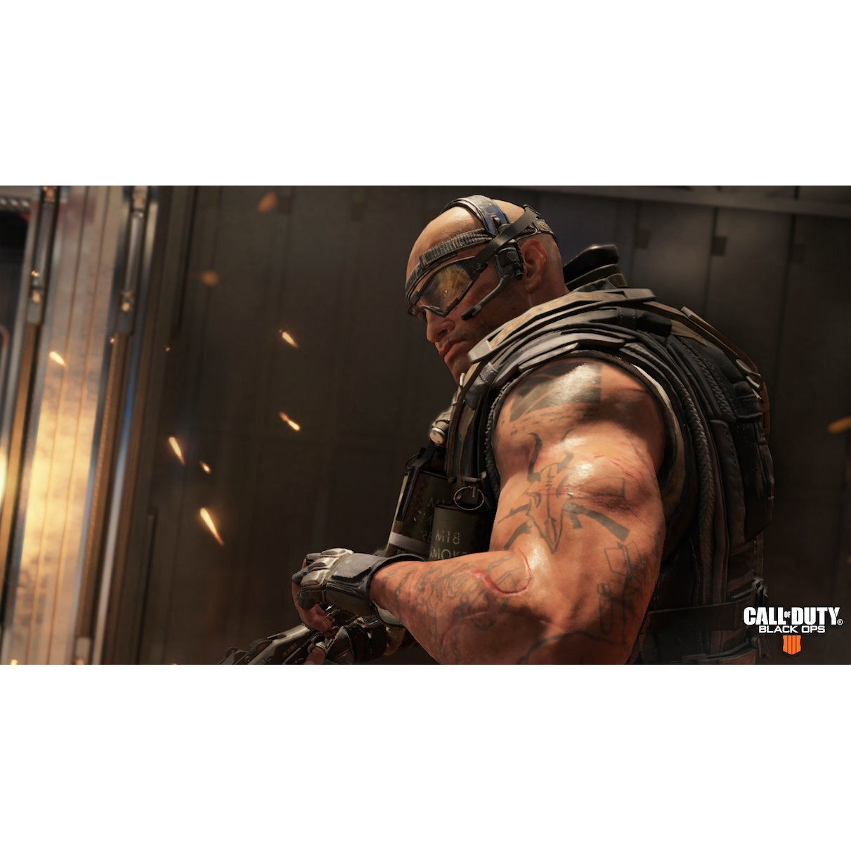 Call Of Duty Black Ops 4 (Ps4)
