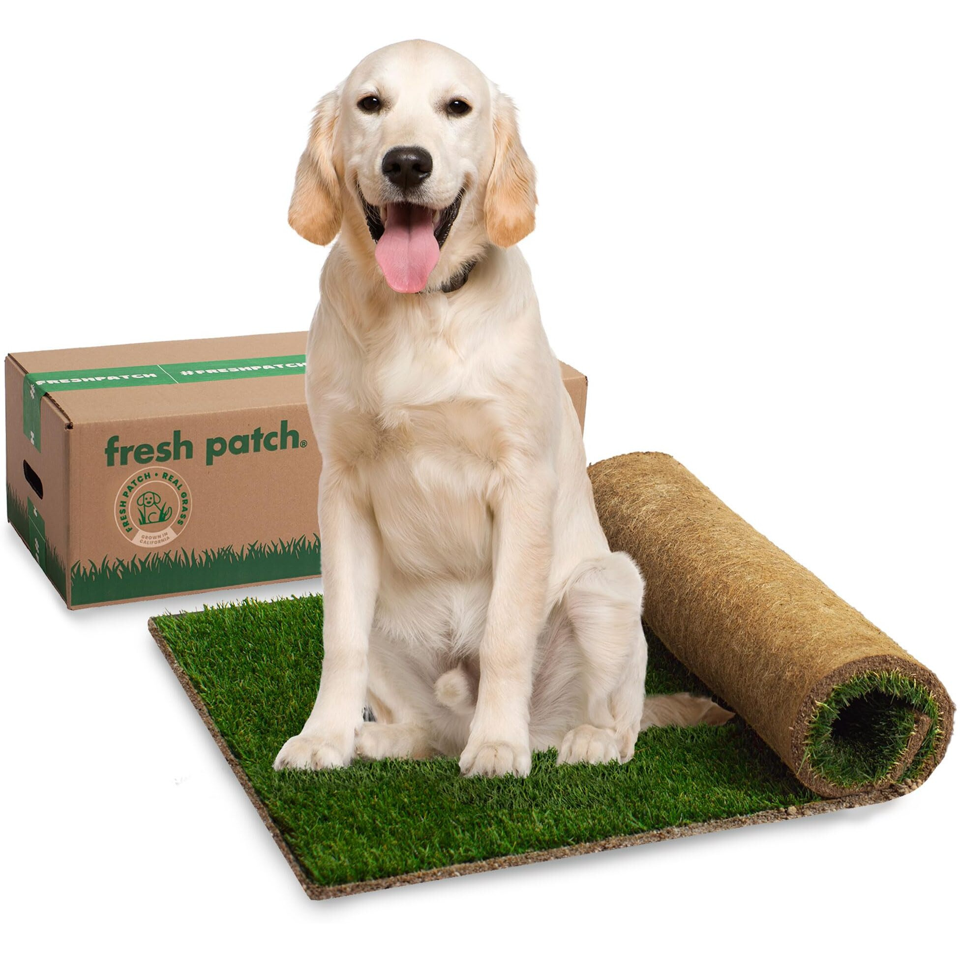 Fresh Patch Real Grass Patch For Dogs, Cats, And Extra Large Pets 30 Pounds And Above - Disposable Pet Grass Pee Pads - Indoor And Outdoor Potty Training Mat (24 Inches X 48 Inches)