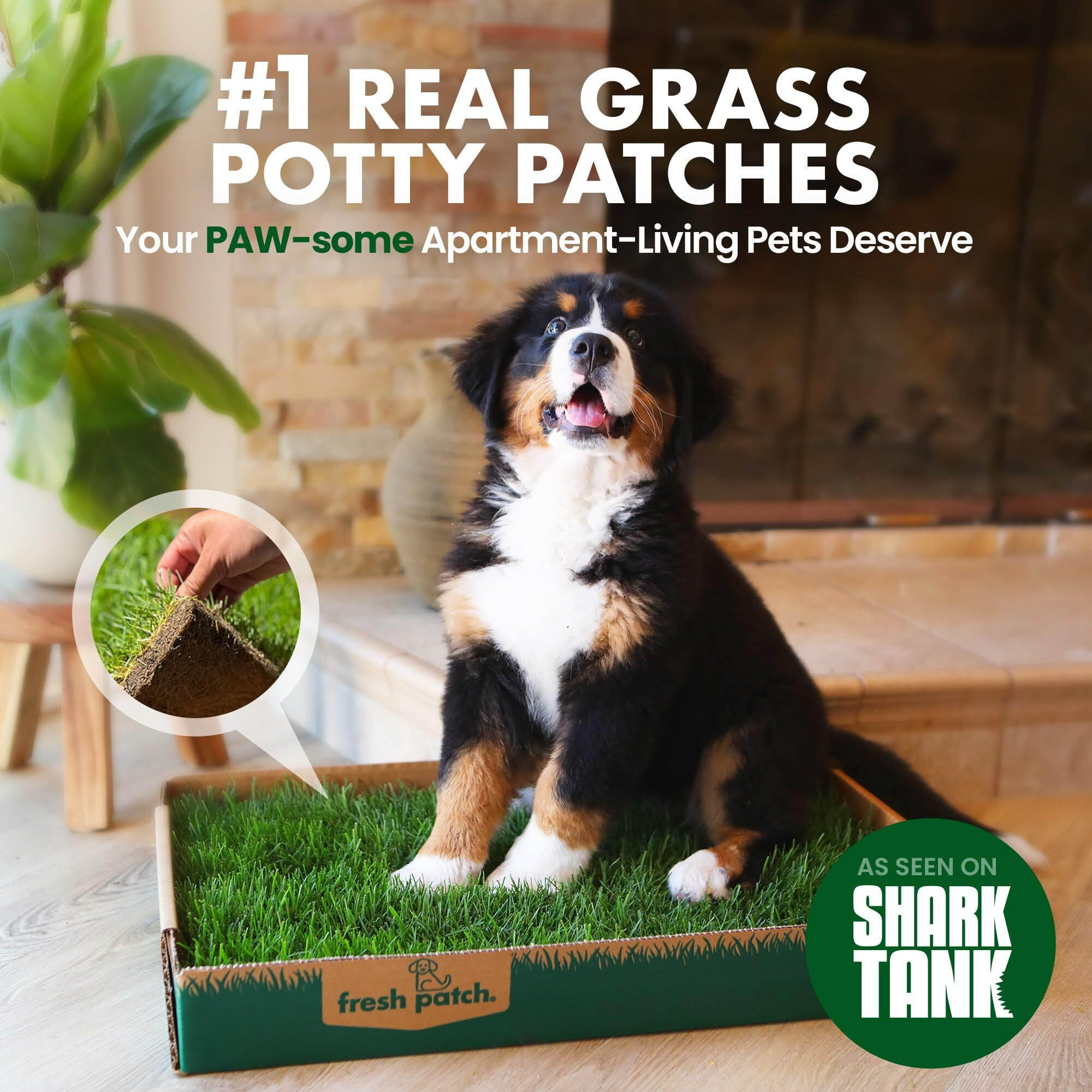Fresh Patch Real Grass Patch For Dogs, Cats, And Extra Large Pets 30 Pounds And Above - Disposable Pet Grass Pee Pads - Indoor And Outdoor Potty Training Mat (24 Inches X 48 Inches)