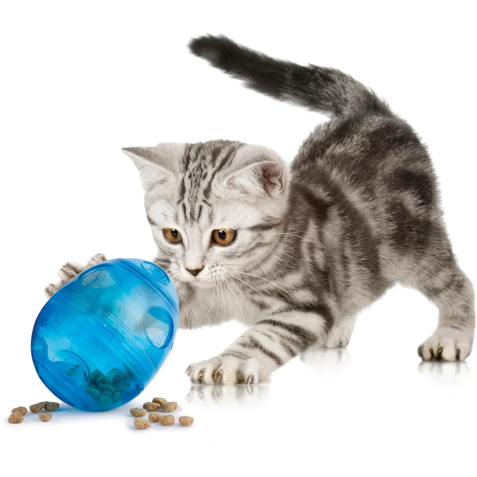 Petsafe Eggcersizer