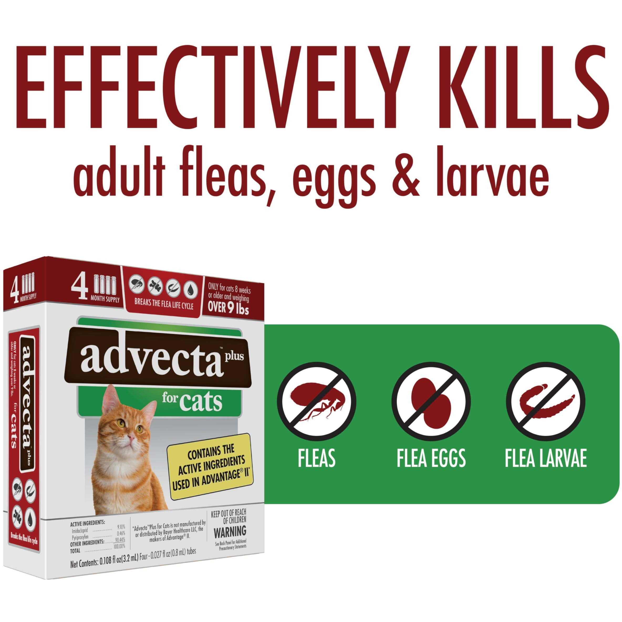 Advecta Plus Flea Prevention For Cats, Cat And Kitten Treatment & Control, Small And Large, Fast Acting Waterproof Topical Drops, 4 Month Supply