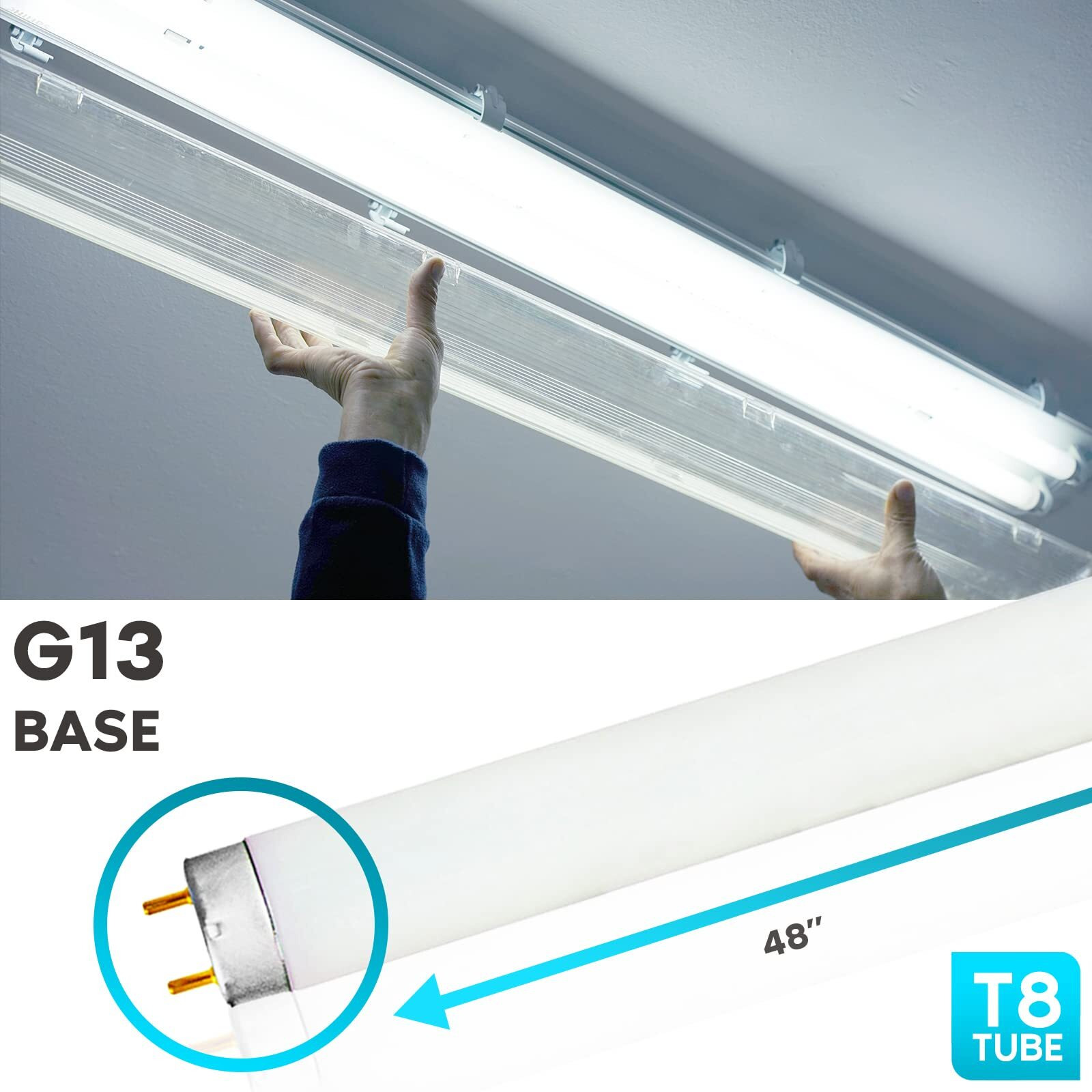 Luxrite F32T8/865 32W 48 Inch T8 Fluorescent Tube Light Bulb, 6500K Daylight, 2800 Lumens, G13 Medium Bi-Pin Base, Lr20735, 12-Pack