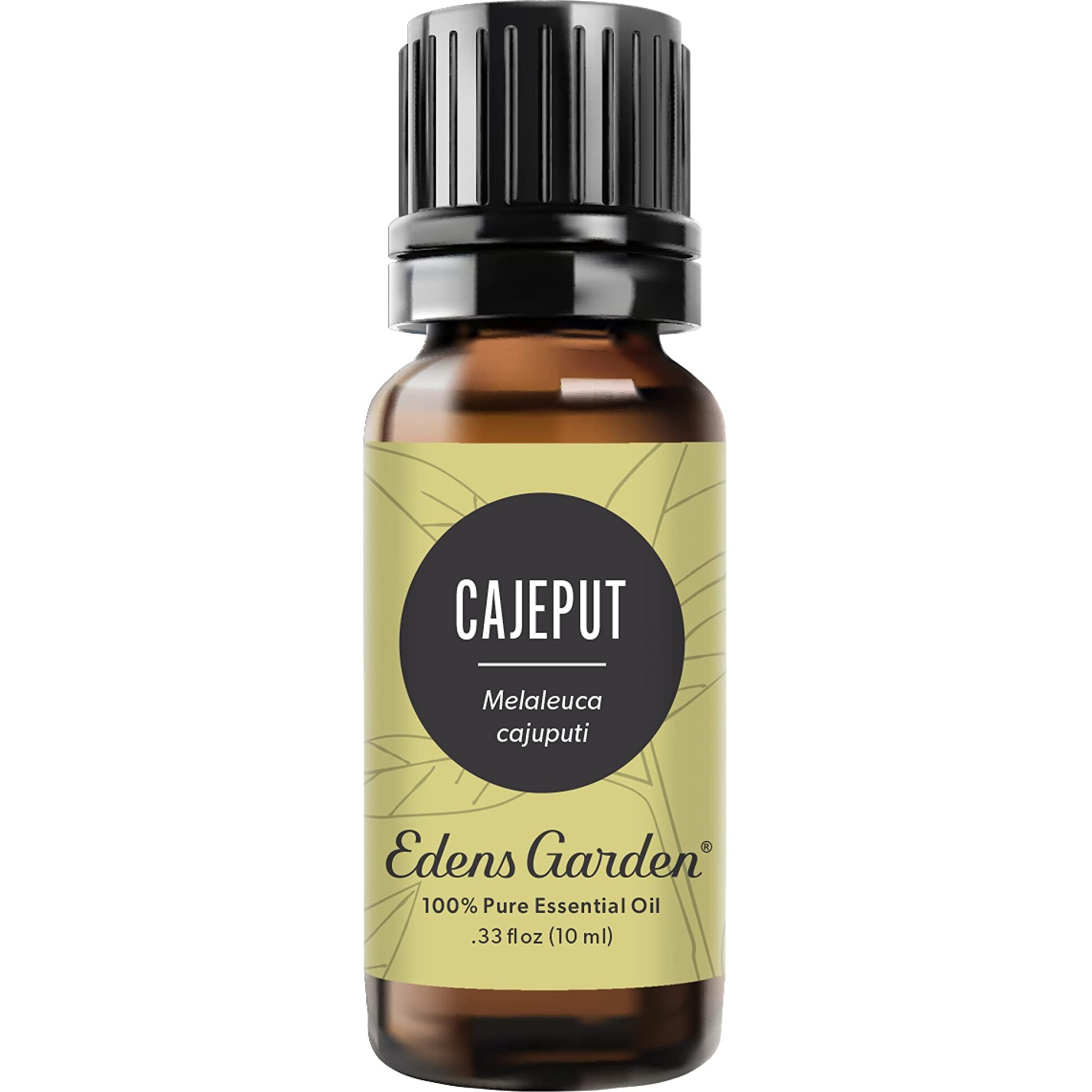 Edens Garden Cajeput Essential Oil, 100% Pure Therapeutic Grade (Undiluted Natural/Homeopathic Aromatherapy Scented Essential Oil Singles) 10 Ml