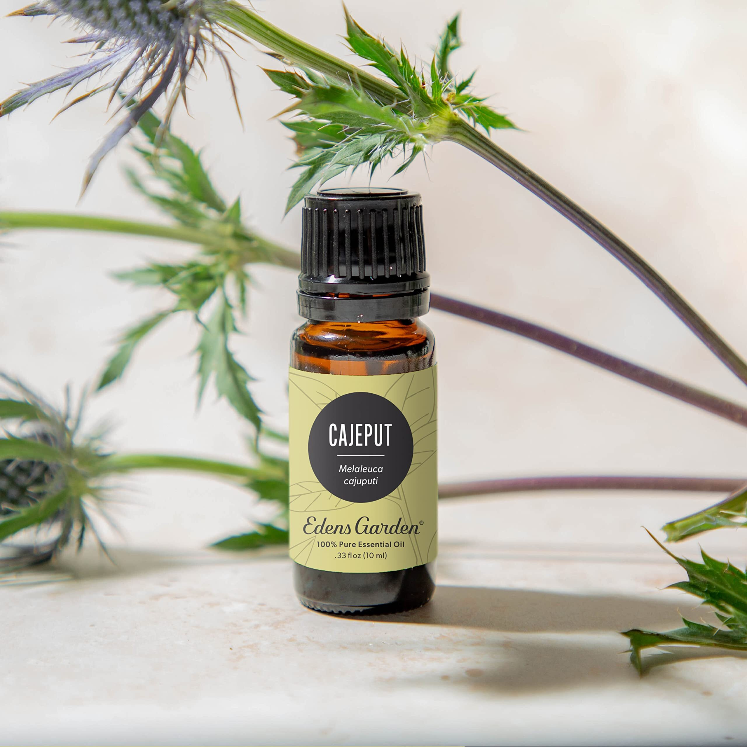 Edens Garden Cajeput Essential Oil, 100% Pure Therapeutic Grade (Undiluted Natural/Homeopathic Aromatherapy Scented Essential Oil Singles) 10 Ml