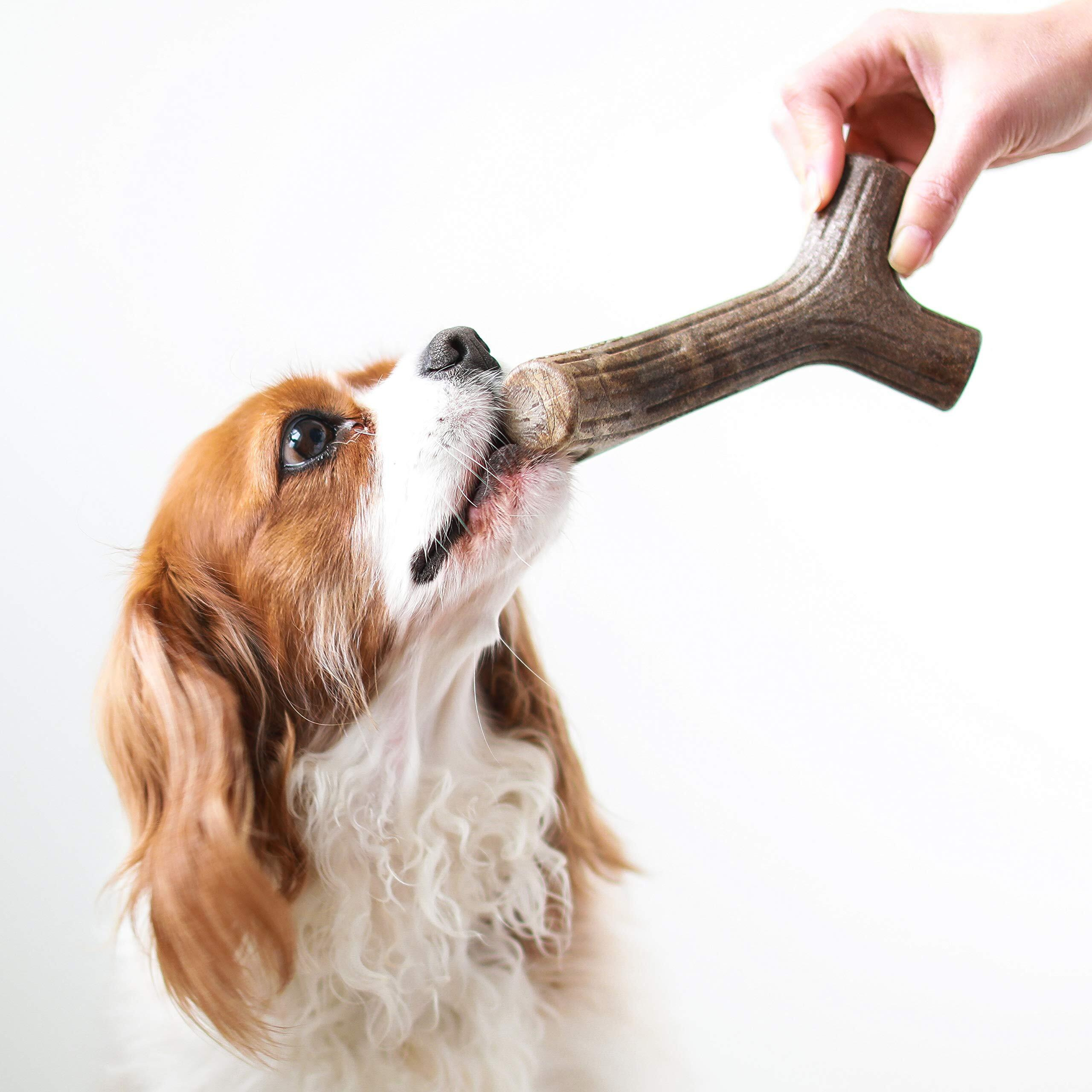 Benebone Maplestick Durable Dog Chew Toy For Aggressive Chewers, Real Maplewood, Made In Usa, Medium