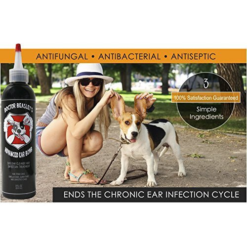 Doctor Beasley's Advanced Ear Bomb Is A Powerful 1 Step Cleaning Solution Treatment For Dog Ear Infections Cleaner Replaces Drops, Vet Visits, Medication, Antibiotics For Yeast And Fungus, 8 Ounce