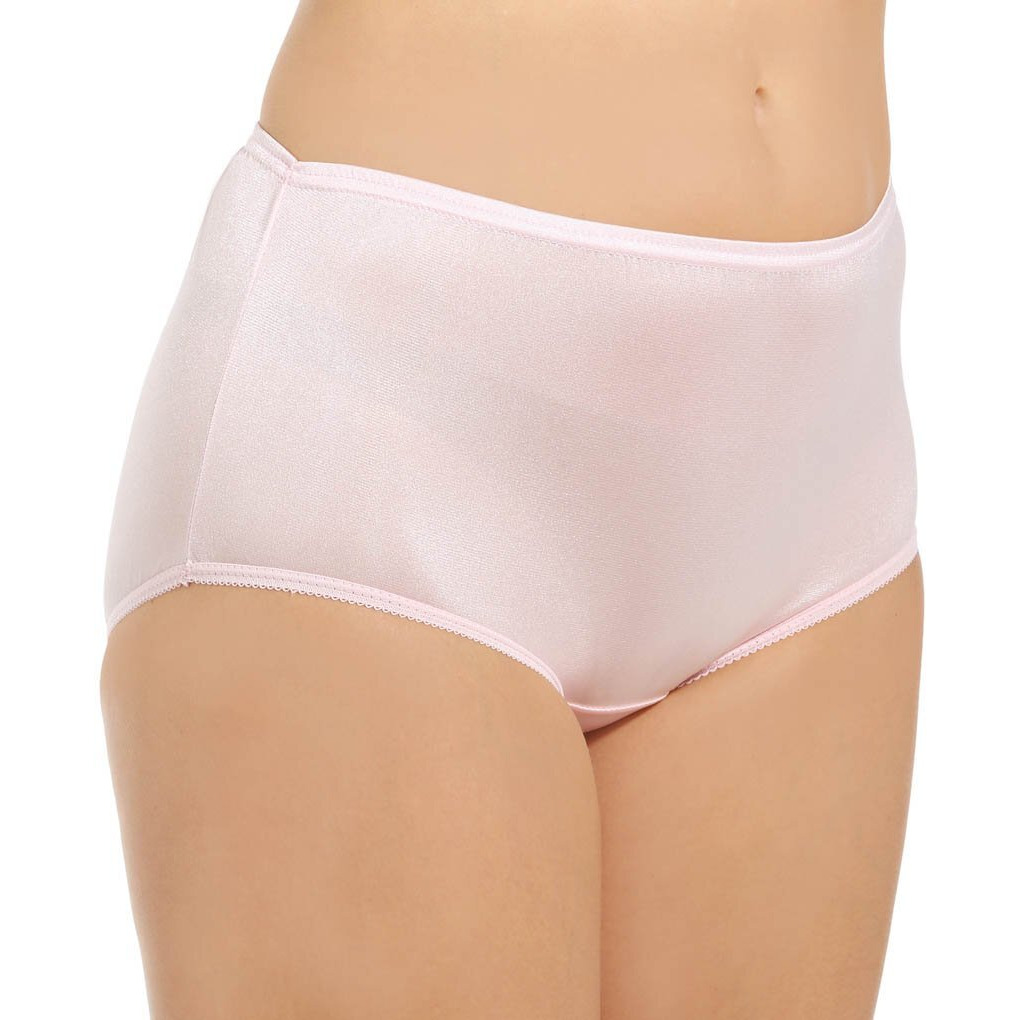 Teri Women's Full Cut Nylon Brief Panty - 4 Pack 331, Assorted, 8