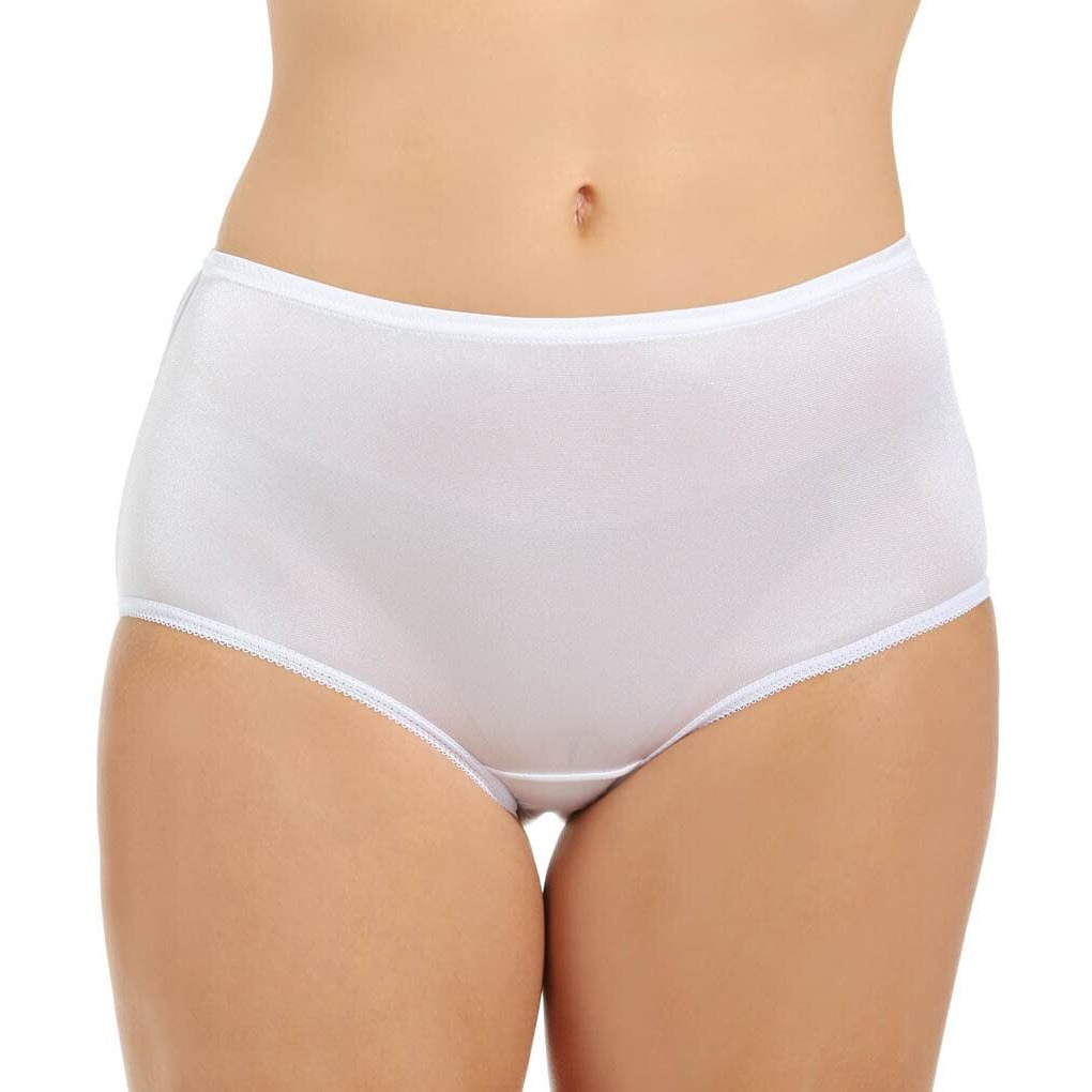 Teri Women's Full Cut Nylon Brief Panty - 4 Pack 331, Assorted, 8