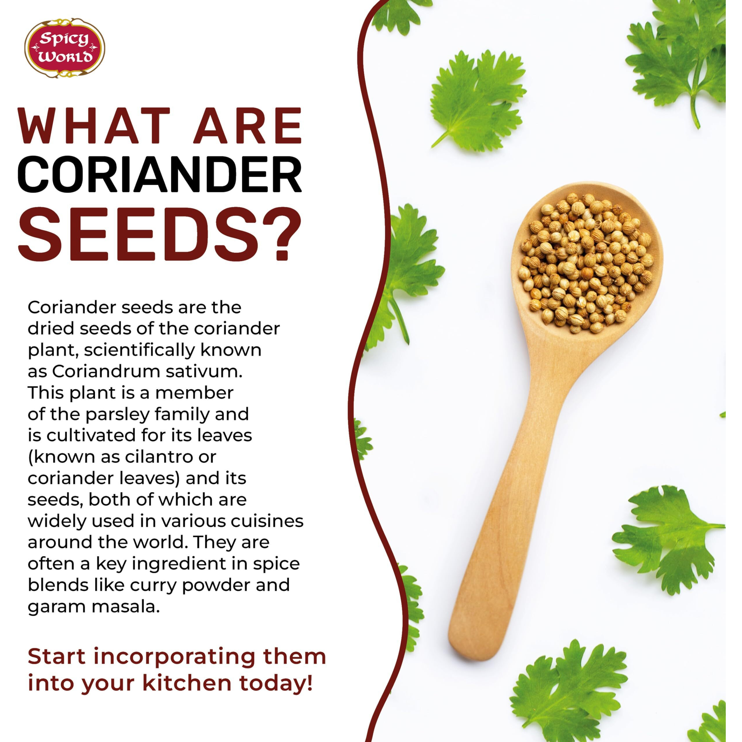 Spicy World Coriander Seeds 5 Pounds Bulk - Pure Indian Spice