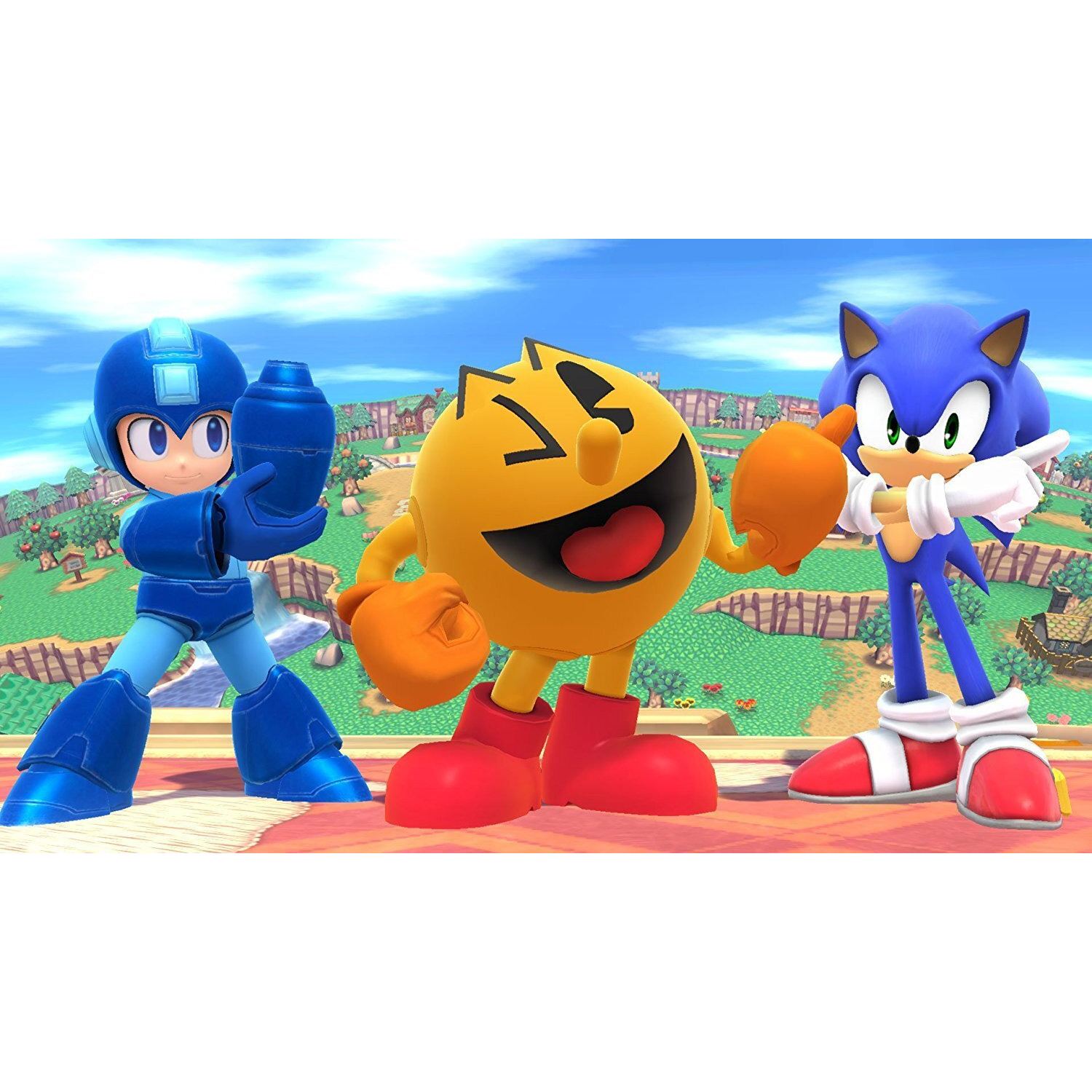 Super Smash Brothers - Nintendo Wii U