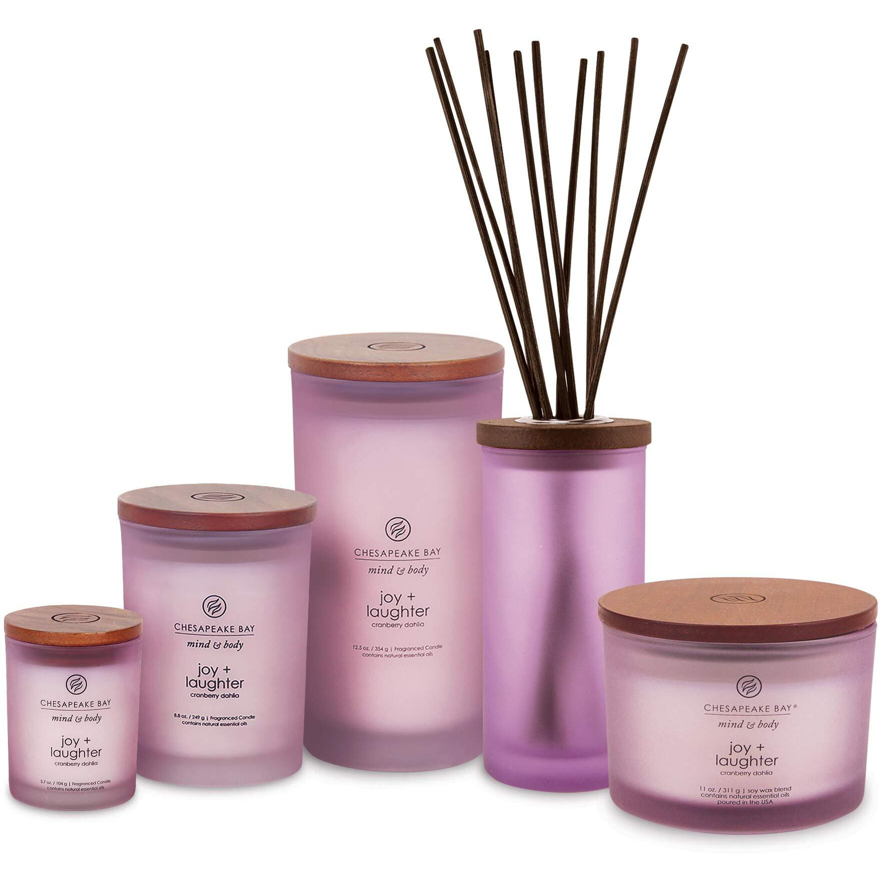 Chesapeake Bay Candle Scented Candle, Joy + Laughter (Cranberry Dahlia), Medium, Home D  Cor