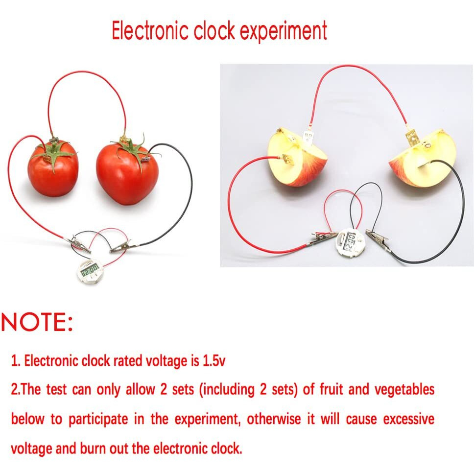 5 Sets Fruit Battery Science Experiment Kit For Home Teaching Toy, Orange Lemon Potato Battery Physics Teaching Experiment With Electronic Clock Educational Toy For Students