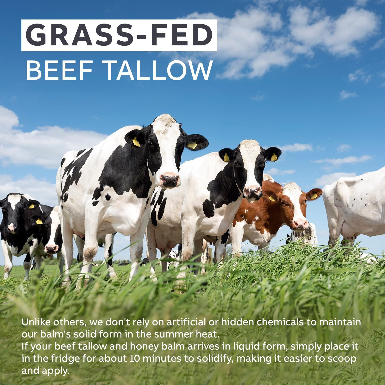 Arlun Beef Tallow For Skin, Beef Tallow And Honey Balm, Tallow Face Moisturizer Nourishes And Hydrates The Skin, Grass Fed Whipped Tallow Honey Balm Enriched With Raw Wild Honey 60G