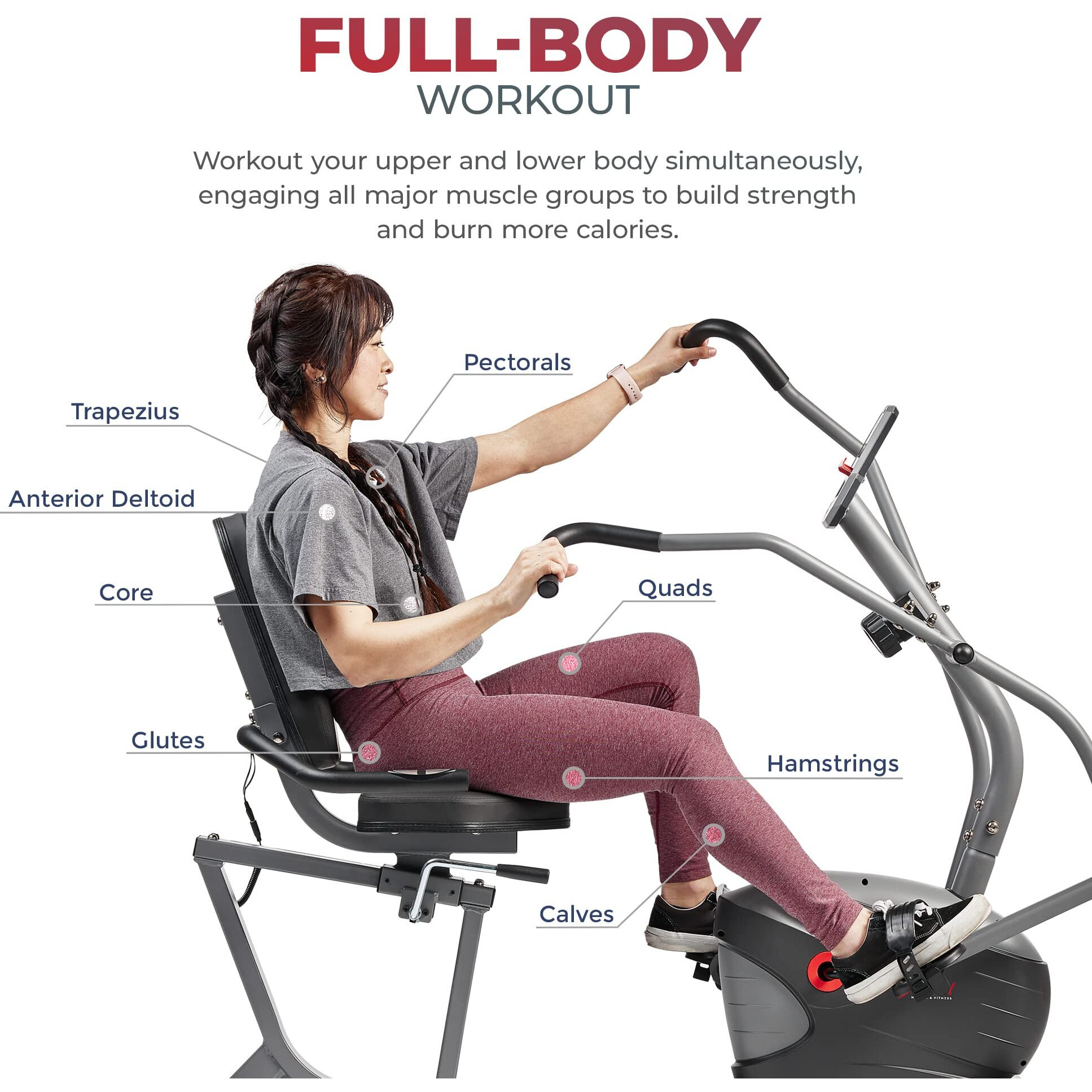 Sunny Health & Fitness Compact Performance Recumbent Bike With Dual Motion Arm Exercisers, Quick Adjust Seat & Exclusive Sunnyfit App Enhanced Bluetooth Connectivity - Sf-Rb420032 Gray