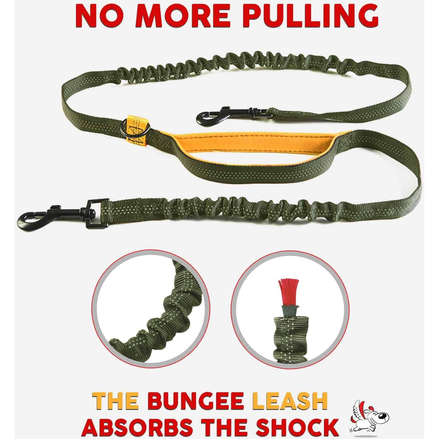 Exquisite Hands-Free Leash For Two Large Dogs - Perfect For Active Pet Owners - Comfortable, Durable & Ideal For Running, Walking, Hiking - Premium Dual Waist Lead With Bungee - Must-Have Dog Gear