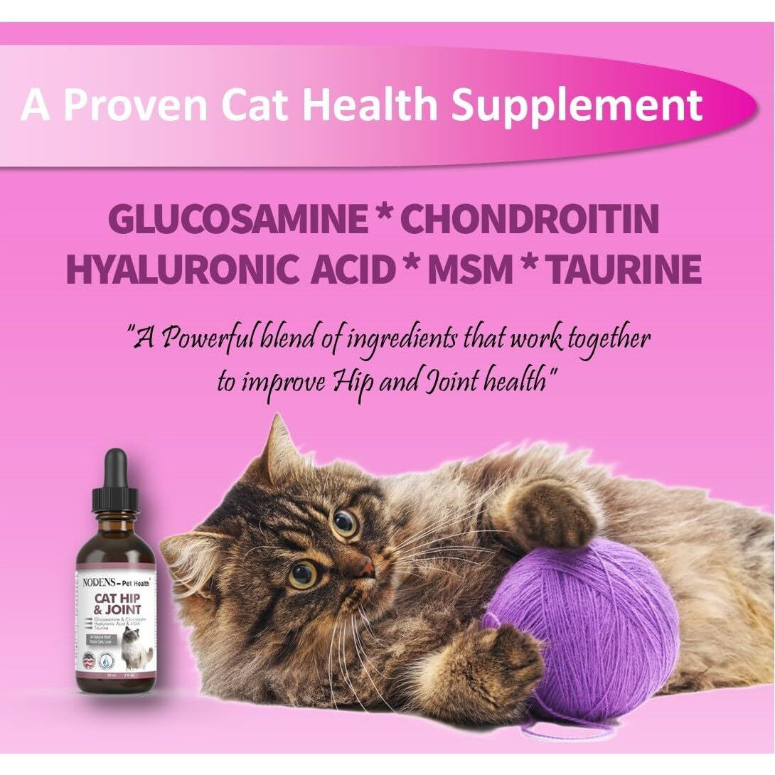 Nodens Cat Hip And Joint Glucosamine For Cats With Chondroitin - Cat Pain Relief From Inflammation - Cat Joint Supplement For Improved Joint Flexibility - Natural Liquid Cat Health Supplies 59Ml
