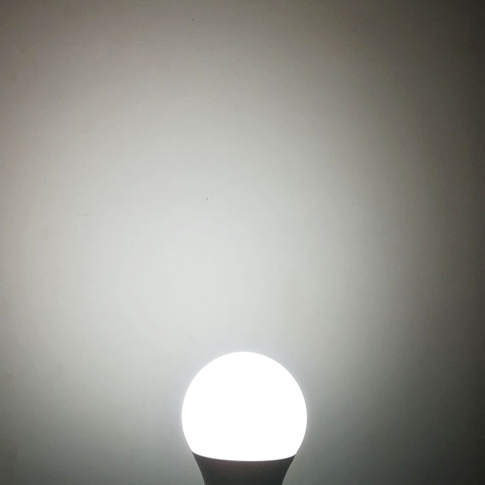 Taysing 12V Light Bulb A19 9W Cold White 6000K E26 Screw Base 12V Led Bulb Dc 12 Volt 24V 36V 48V Low Voltage Lights For Solar Battery System,Rv,Marine Boat,Off Grid Lighting(9W-6000K-2 Pack)