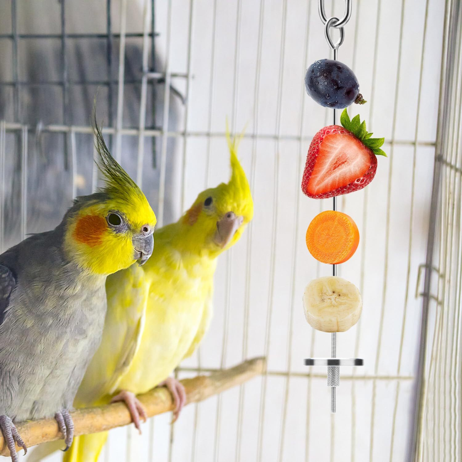 Bird Food Holder Stainless Steel Fruit Vegetable Stick Skewer For Parrots Cockatoo Cockatiel Cage Treating Tool (2 Pcs-L)