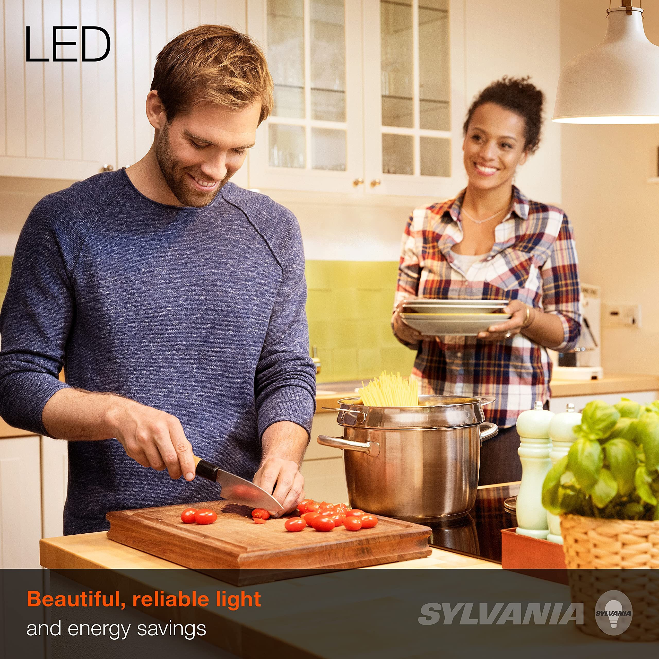 Sylvania Eco Led Light Bulb, A19 60W Equivalent, Efficient 9W, 7 Year, 750 Lumens, 2700K, Non-Dimmable, Frosted, Soft White - 8 Count (Pack Of 1) (40821)
