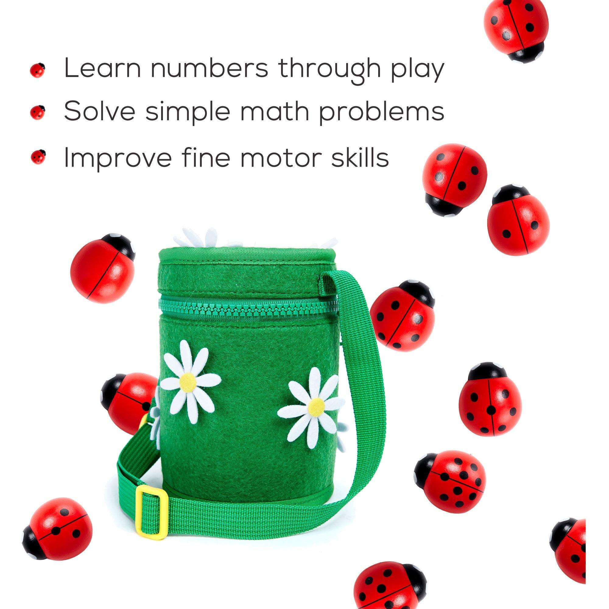 Counting Ladybugs - Montessori Wooden Counting Toy For Girls 3 4 5 Year Old - Ladybug Learning Toys For Toddlers - Preschool Kids Toys For Number Matching, Sorting & Fine Motor Skills - Lady Bug Gifts
