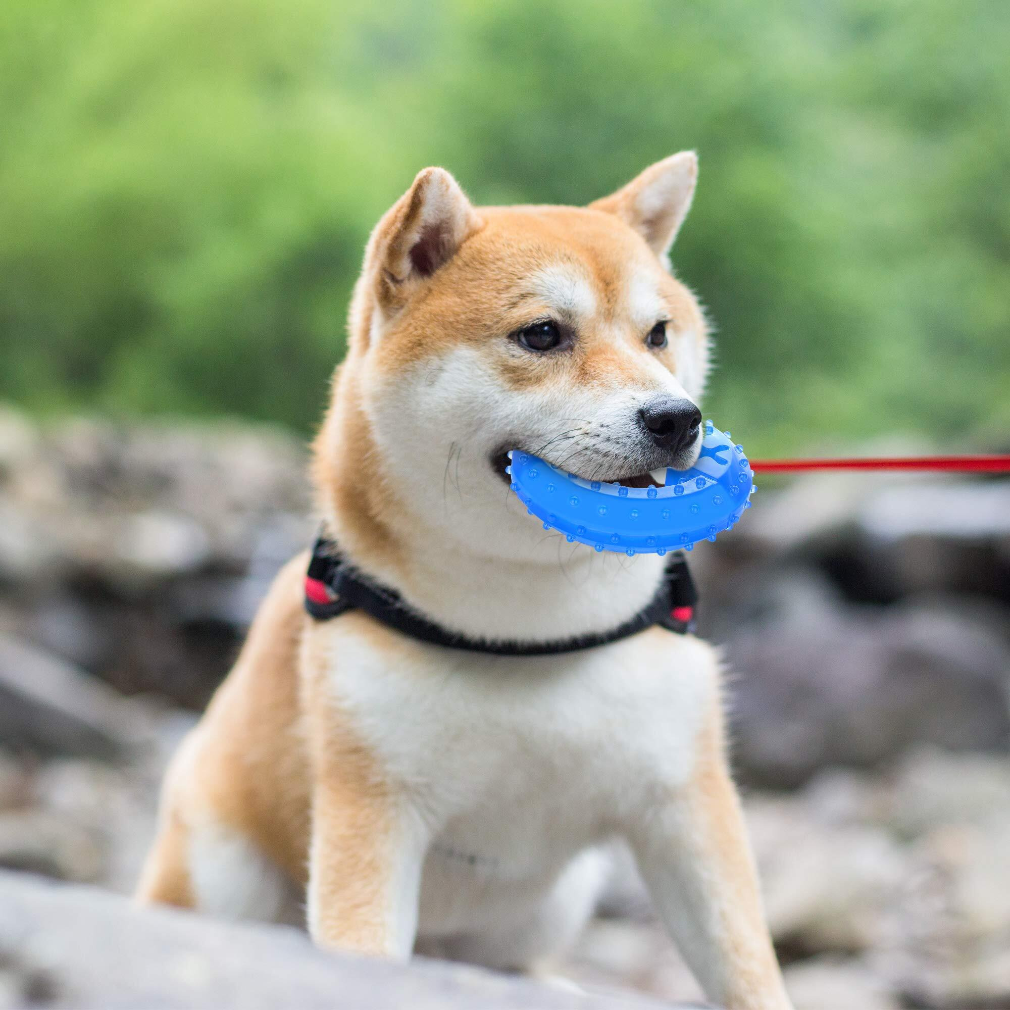 Nwk Pet Teether Cooling Chew Toy For Dogs Teething Toy For Puppies, Fit With Treats For More Fun (Chewing Ring)